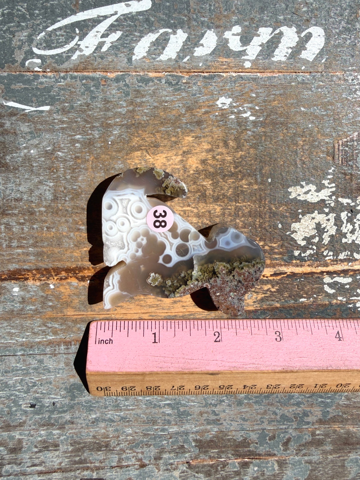Gorgeous Indonesian Scenic Moss Agate DOG Carving | Opt 38