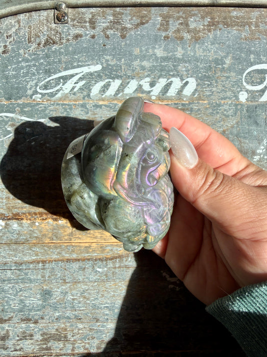 Flashy Labradorite Money Toad | Opt J