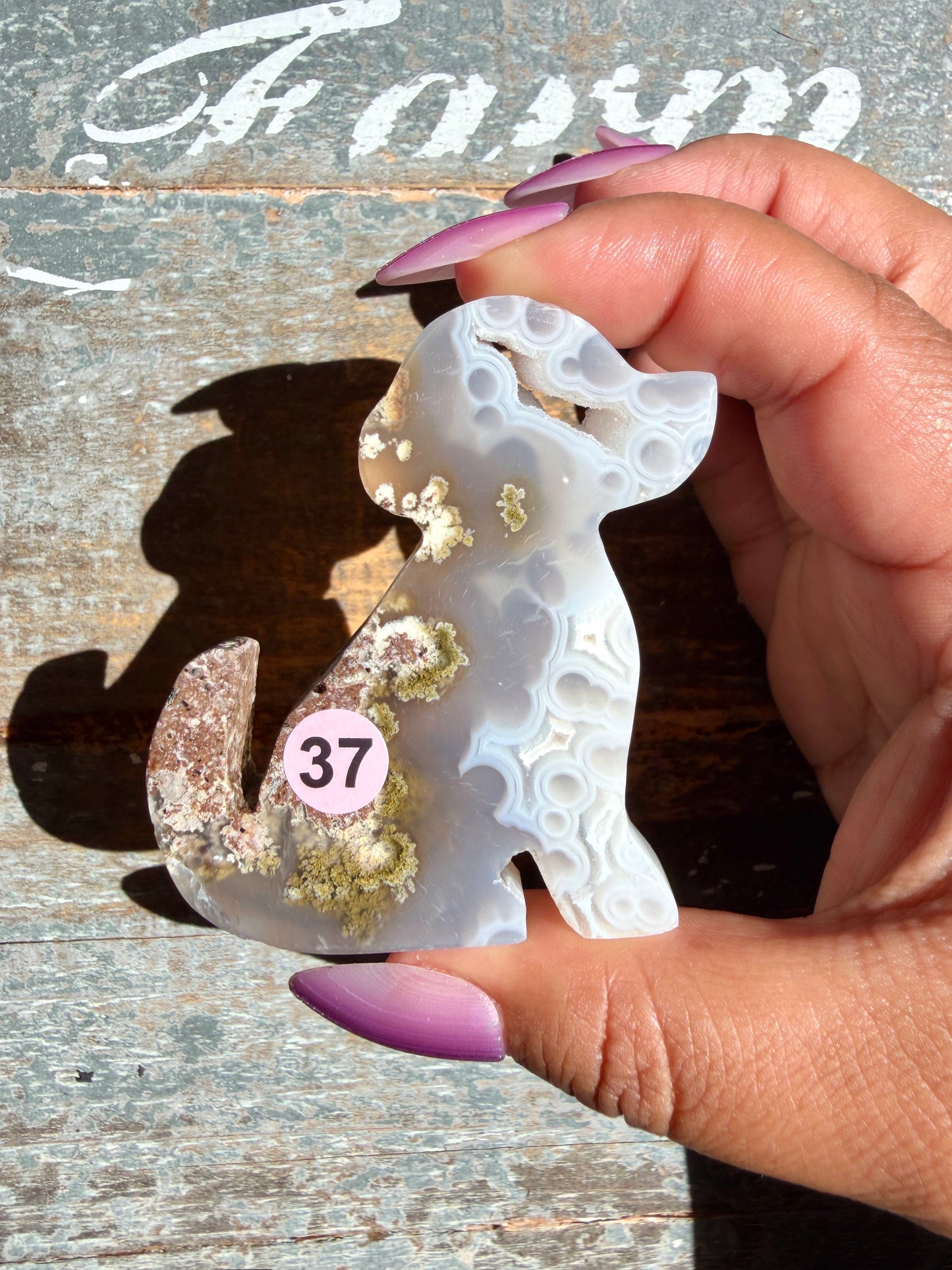 Gorgeous Indonesian Scenic Moss Agate DOG Carving | Opt 37