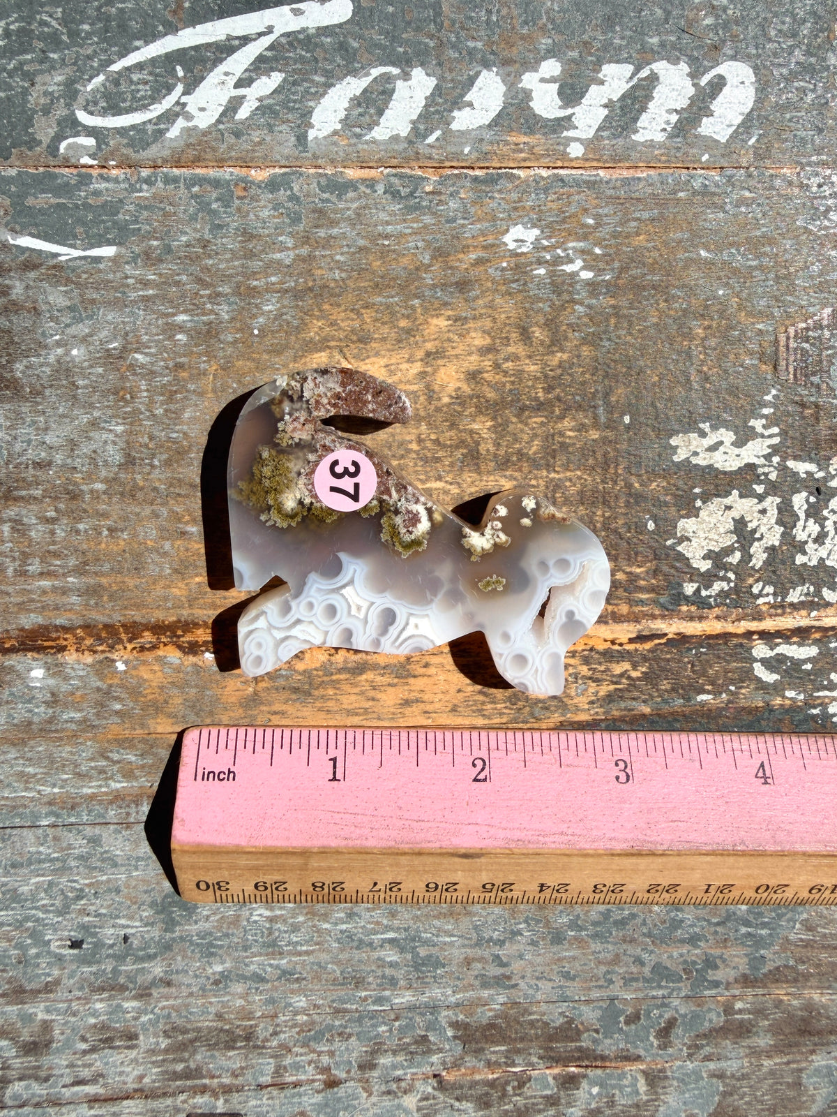 Gorgeous Indonesian Scenic Moss Agate DOG Carving | Opt 37