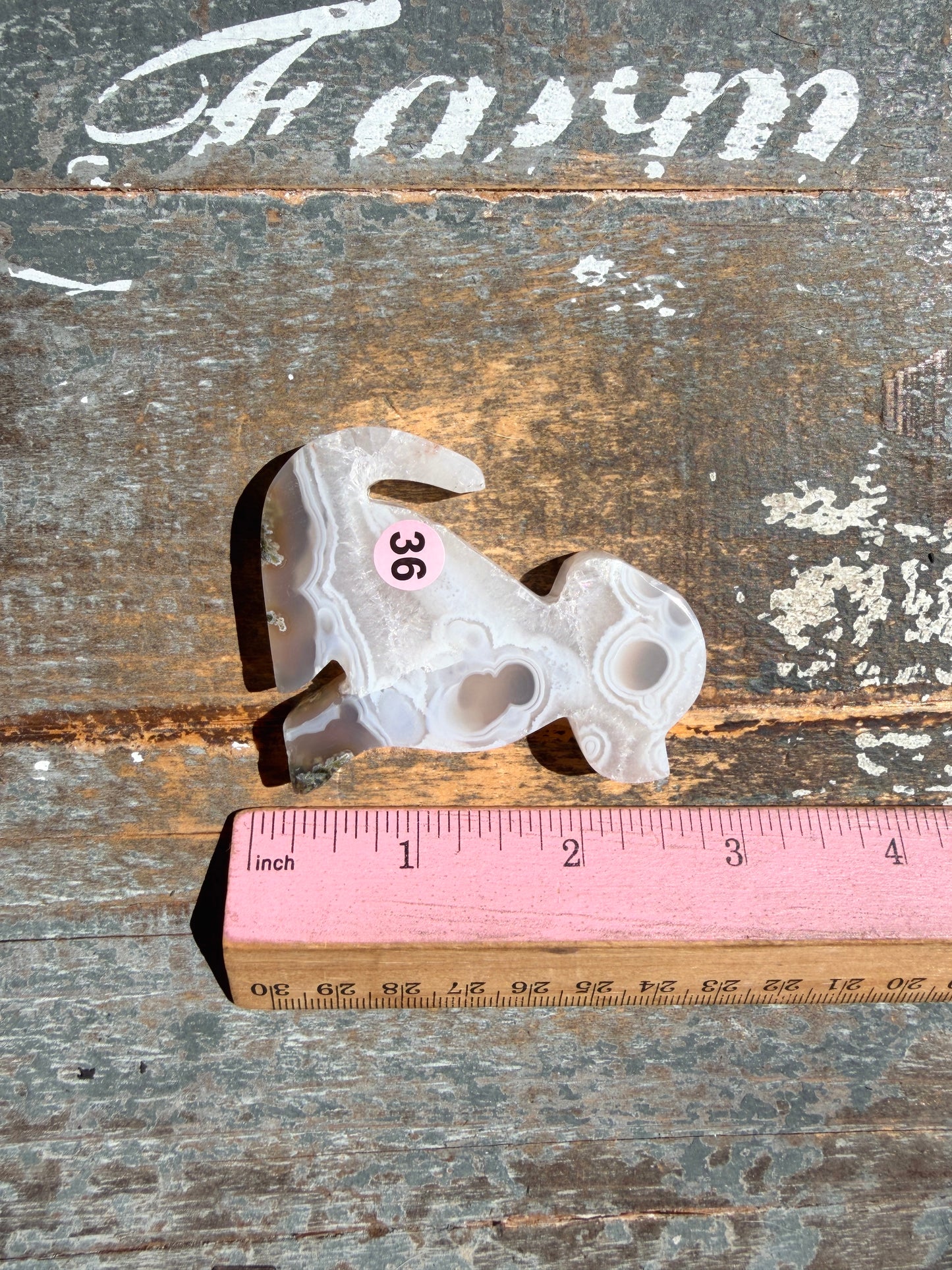 Gorgeous Indonesian Scenic Moss Agate DOG Carving | Opt 36