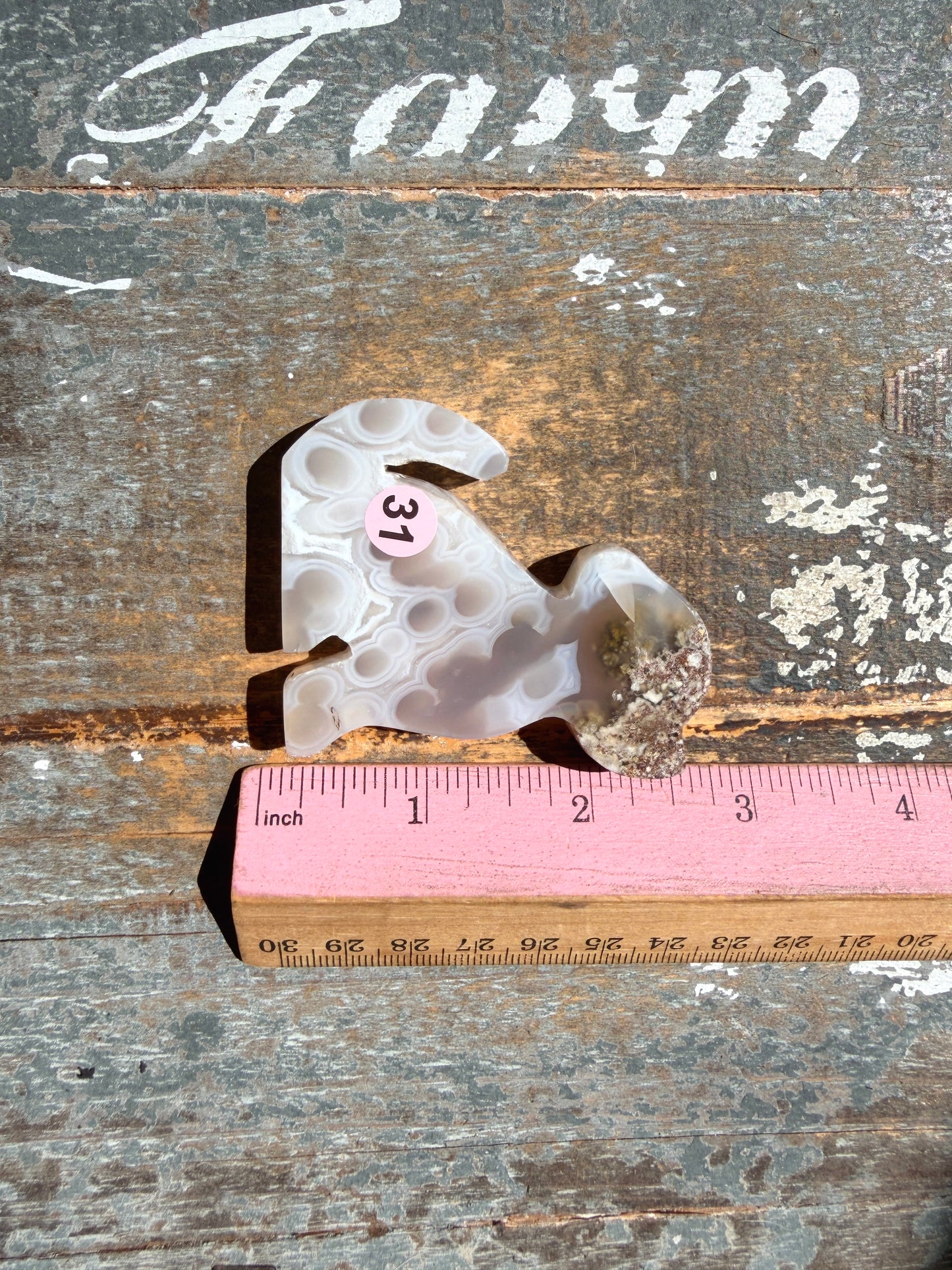 Gorgeous Indonesian Scenic Moss Agate DOG Carving | Opt 31