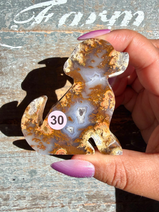 Gorgeous Indonesian Scenic Moss Agate DOG Carving | Opt 30