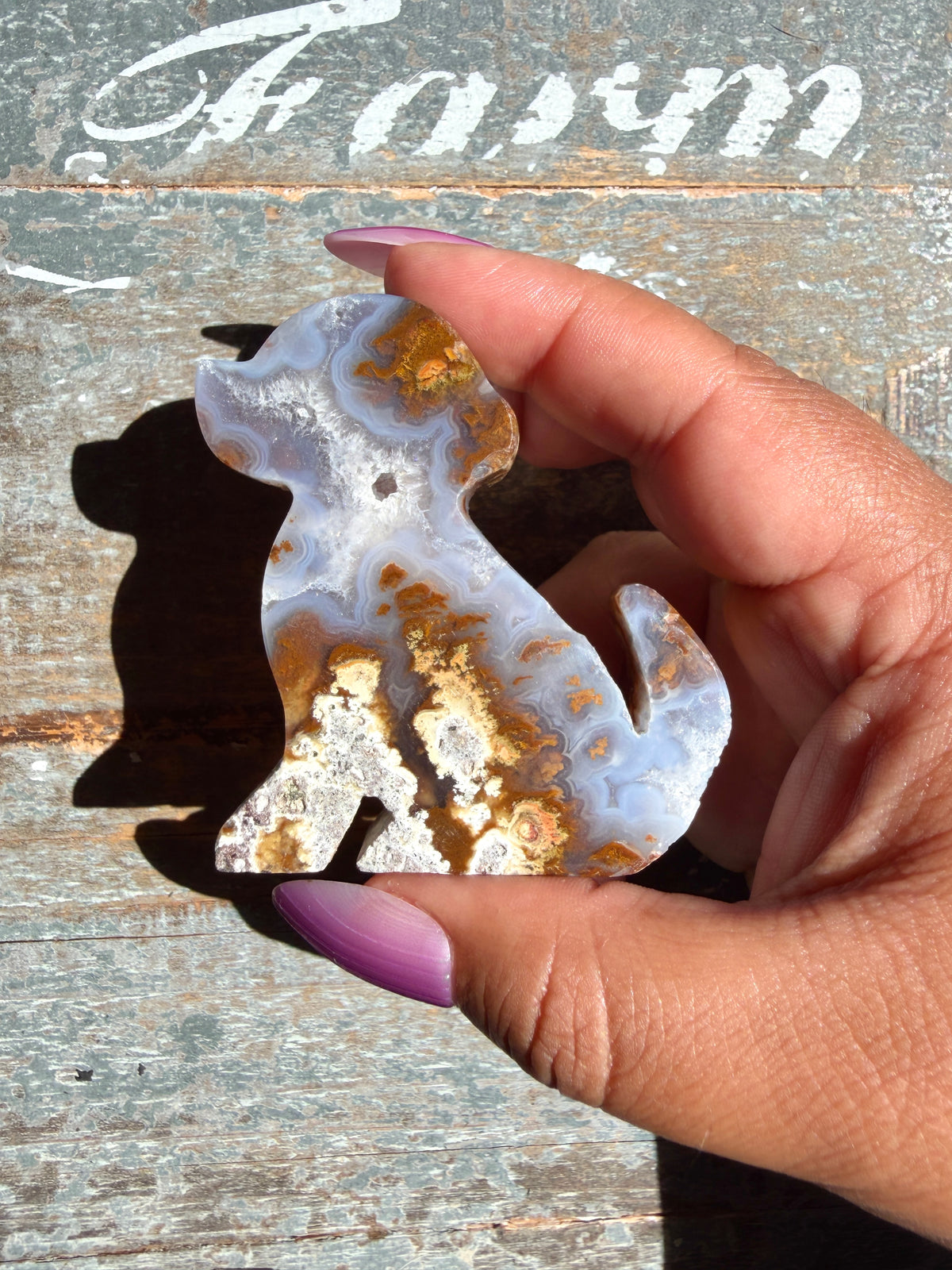Gorgeous Indonesian Scenic Moss Agate DOG Carving | Opt 30