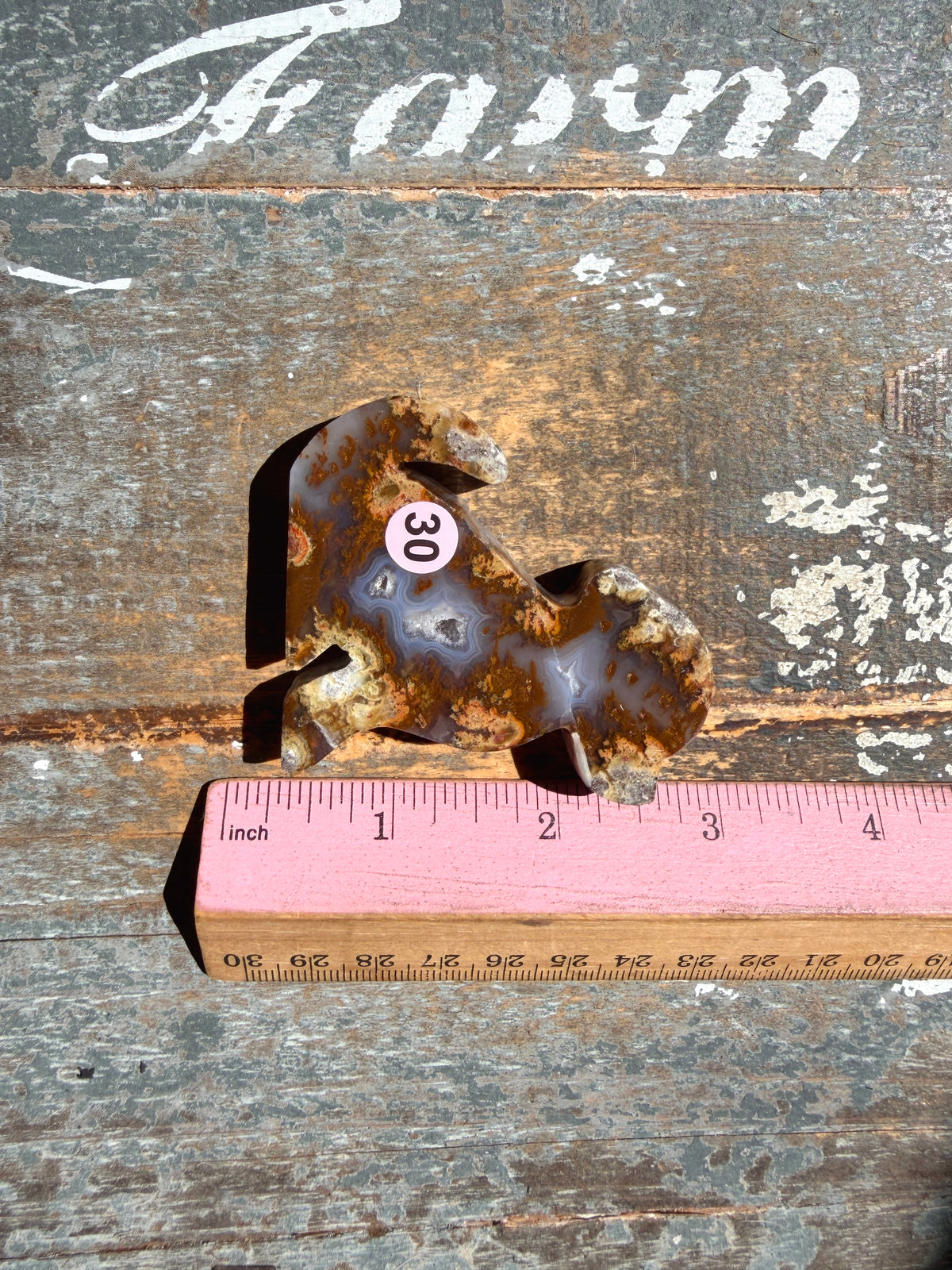 Gorgeous Indonesian Scenic Moss Agate DOG Carving | Opt 30