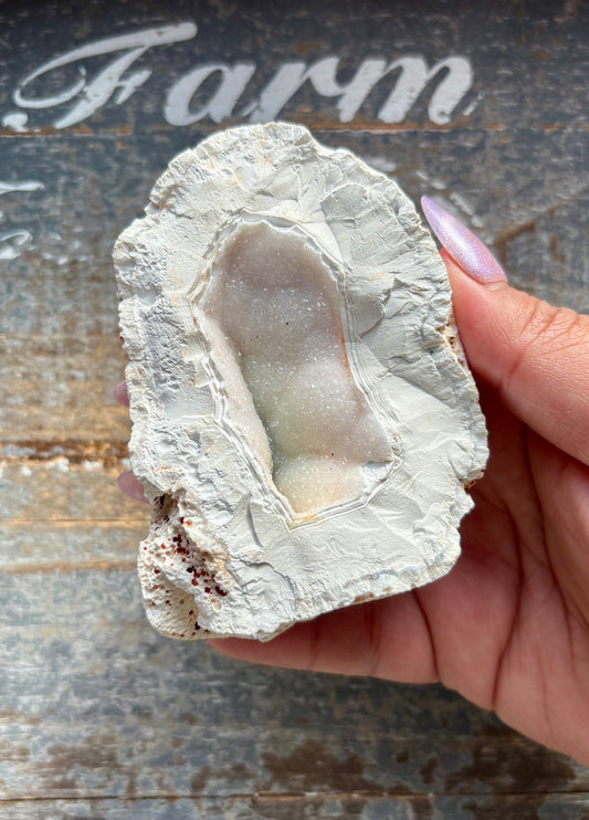 Gorgeous Orca White Agate Geode