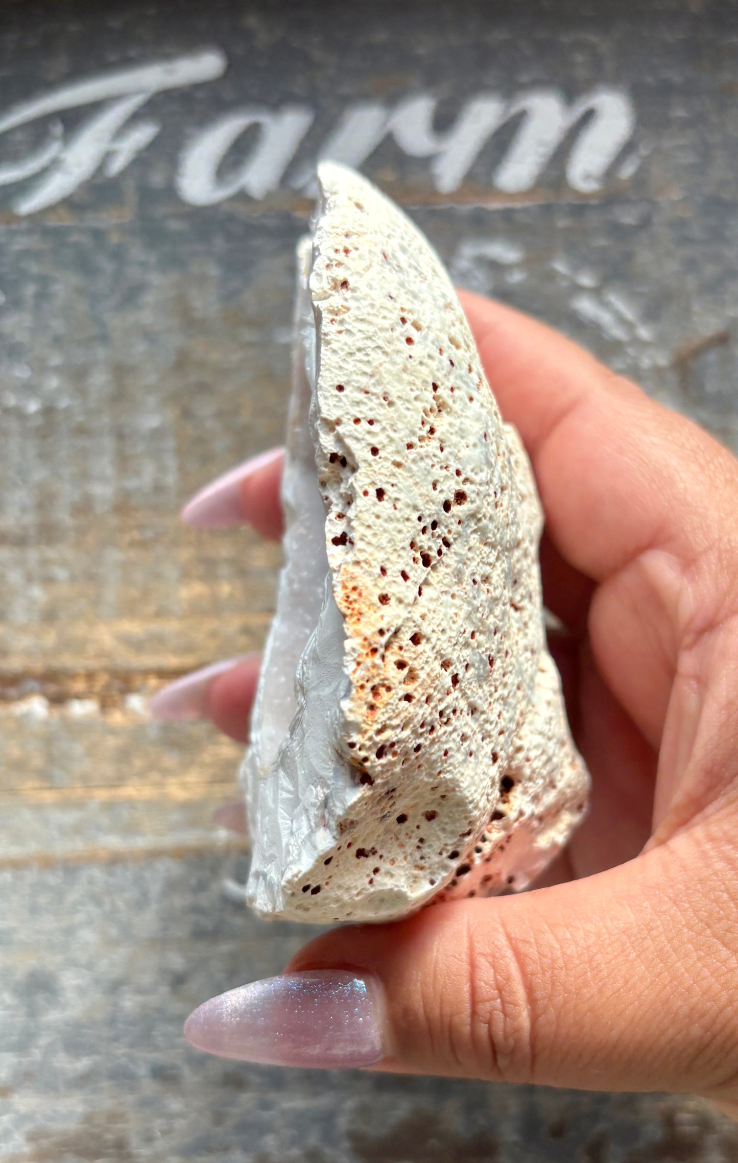 Gorgeous Orca White Agate Geode