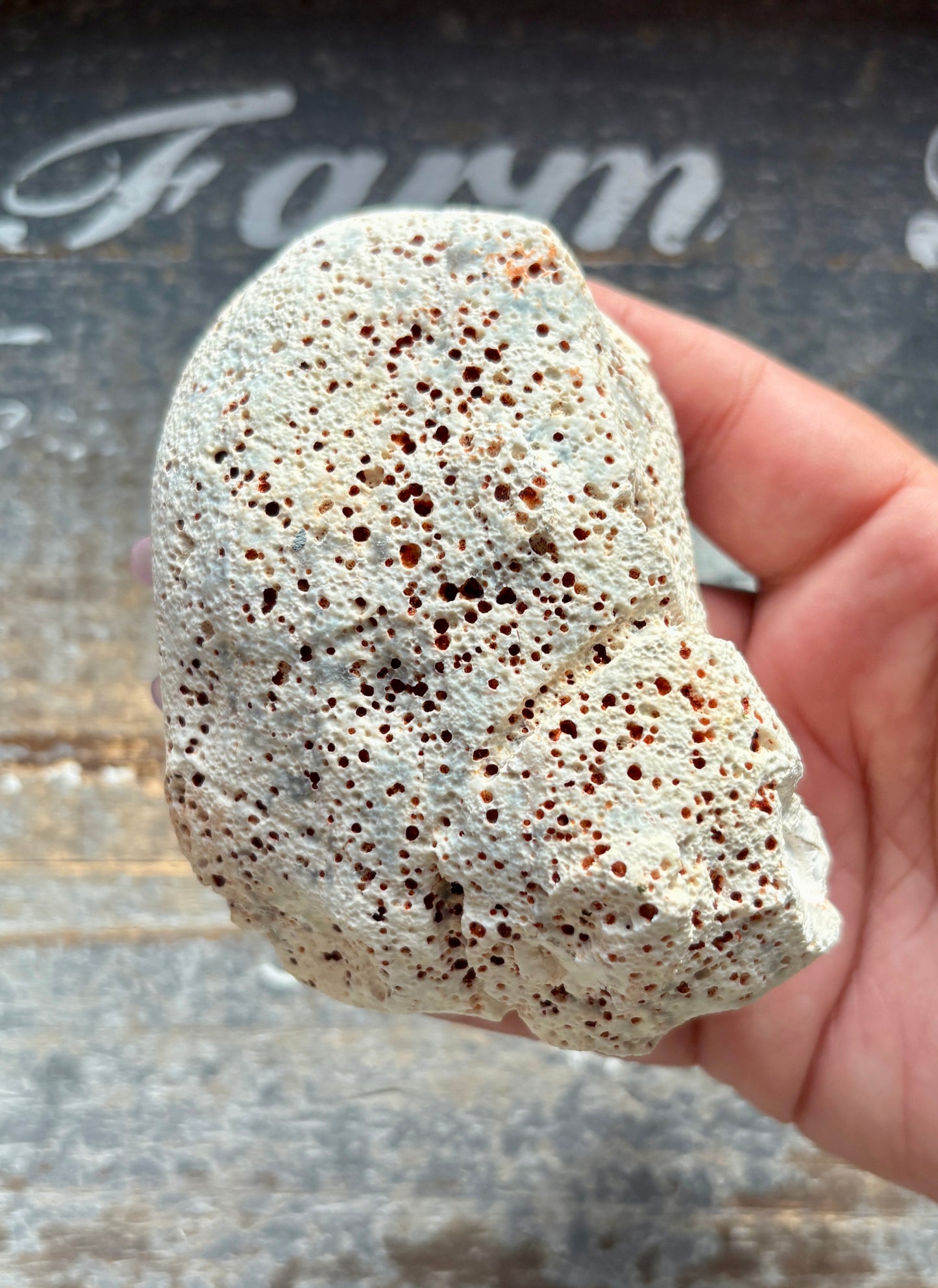 Gorgeous Orca White Agate Geode