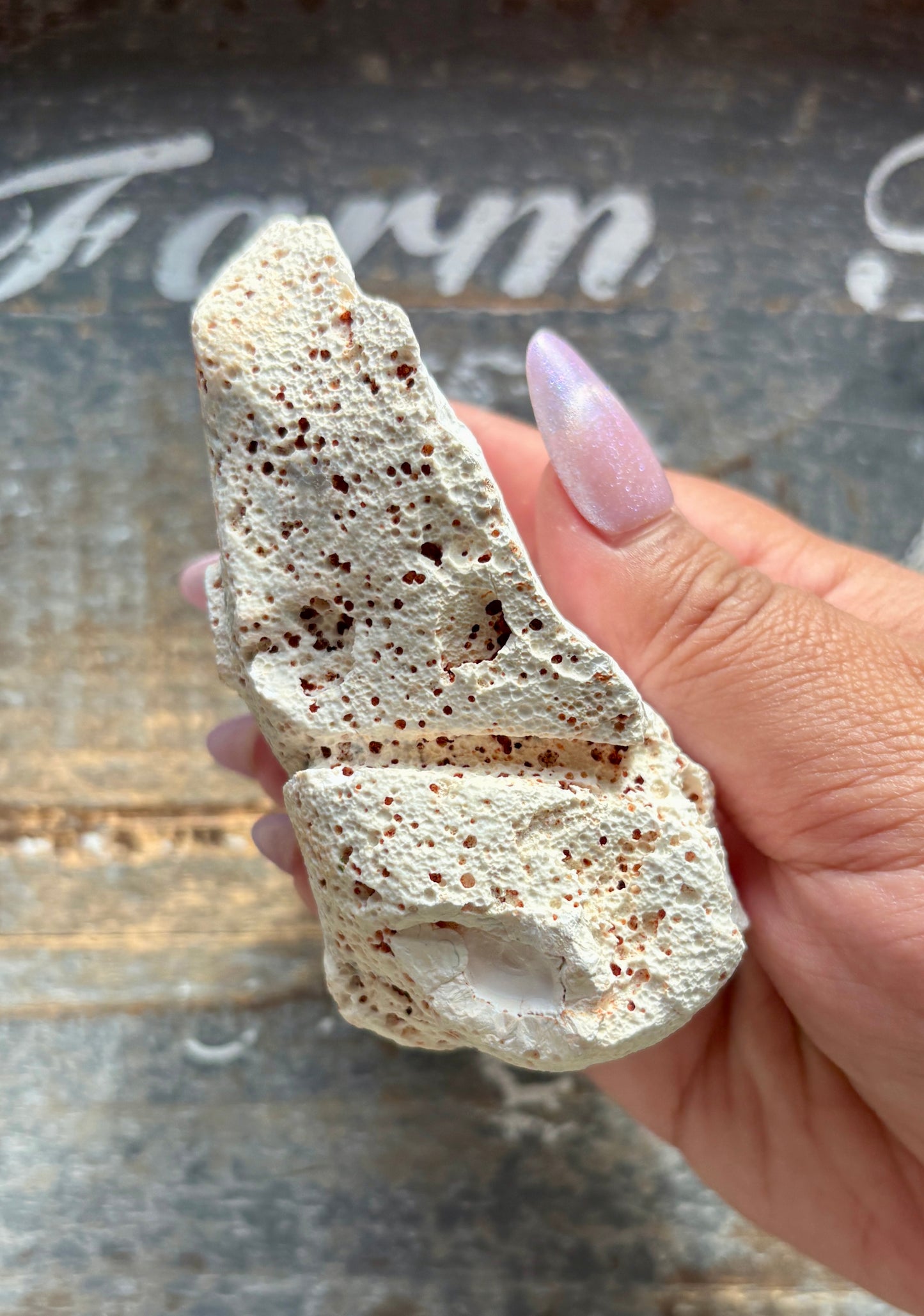 Gorgeous Orca White Agate Geode