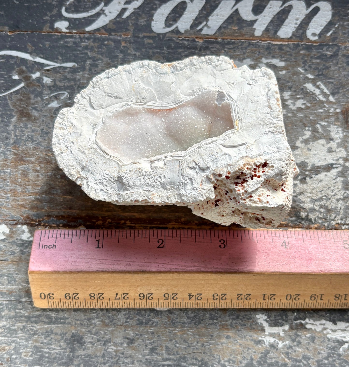 Gorgeous Orca White Agate Geode