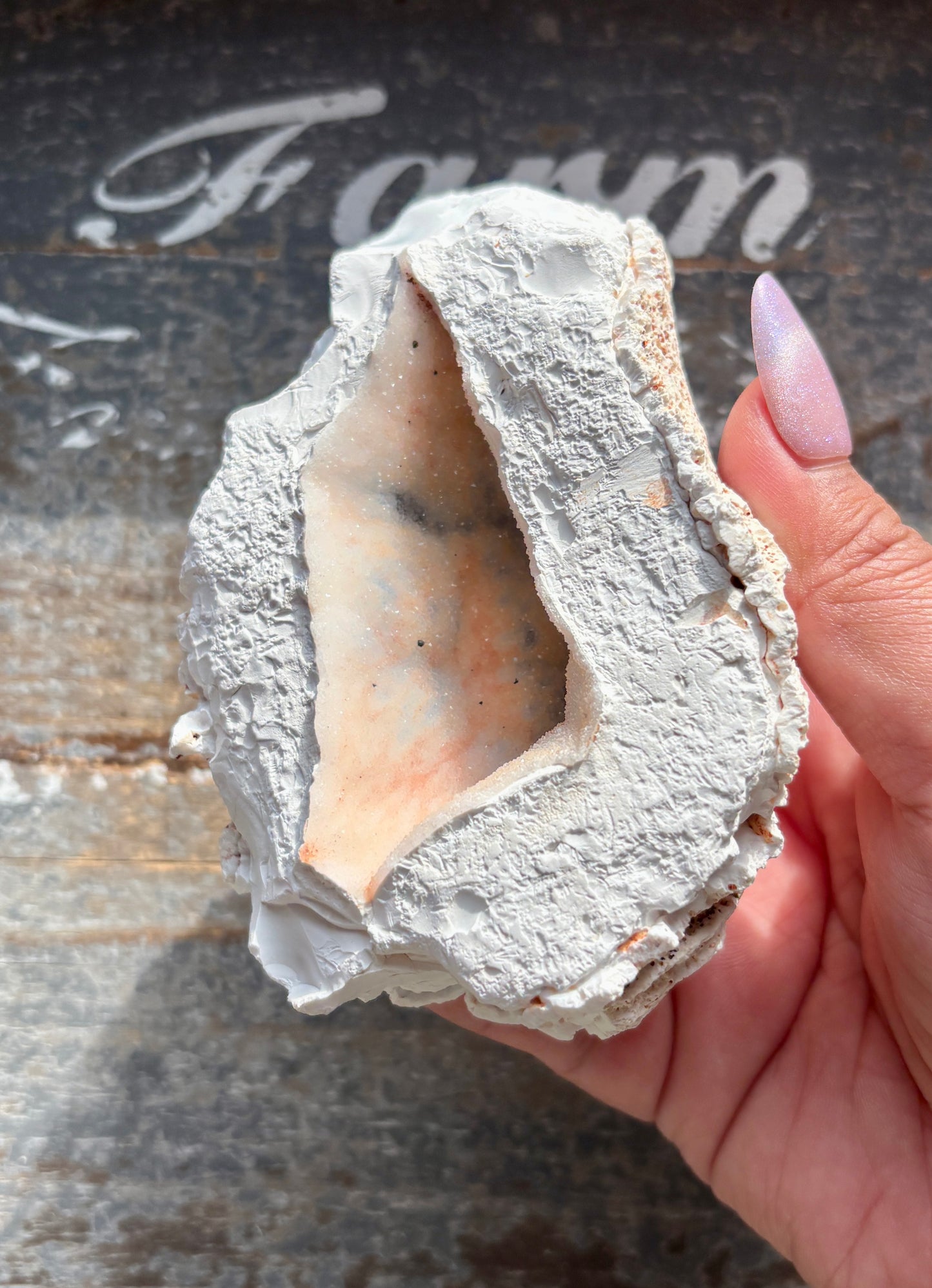 Gorgeous Orca White Agate Geode