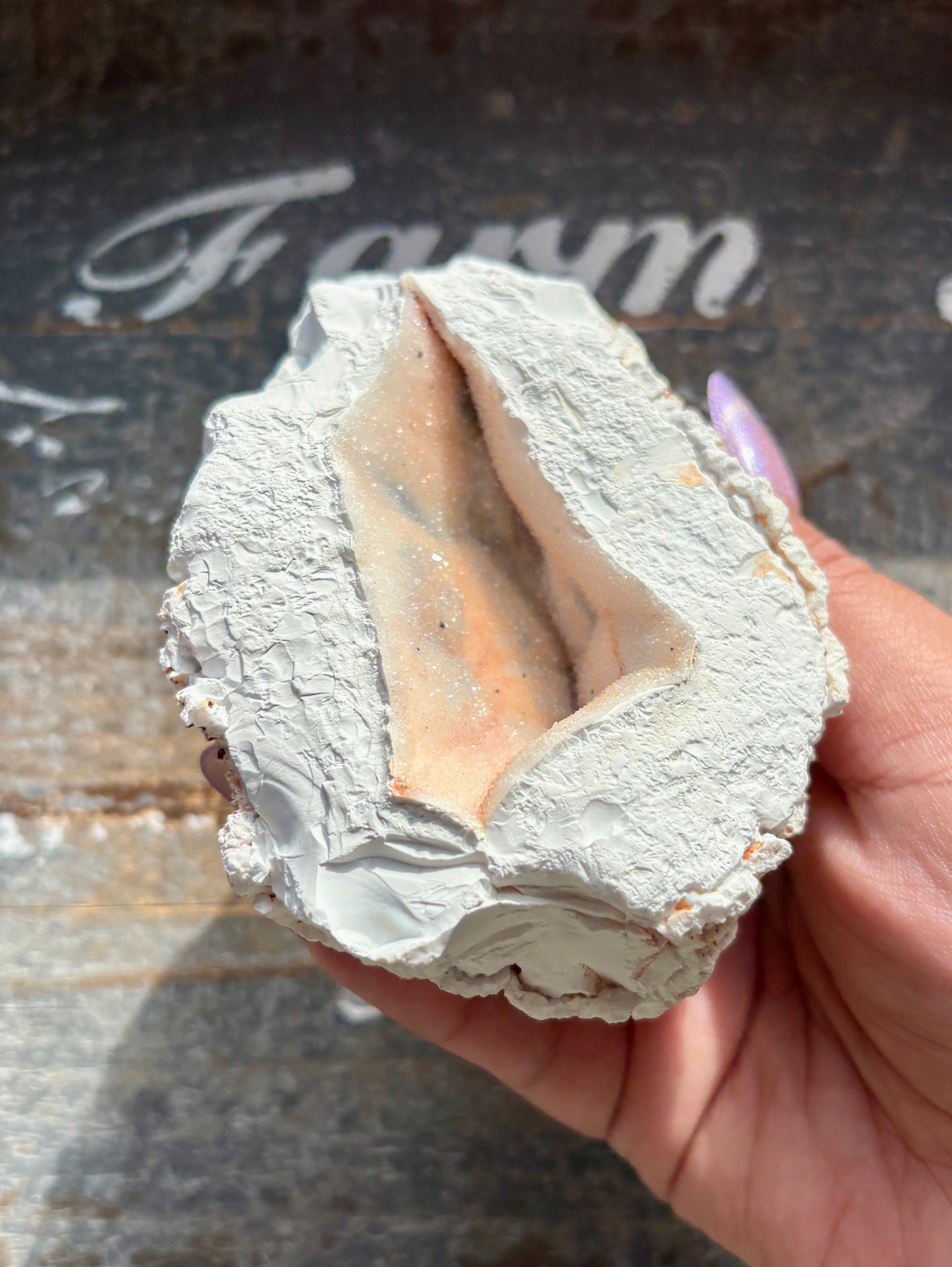 Gorgeous Orca White Agate Geode