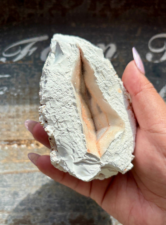 Gorgeous Orca White Agate Geode