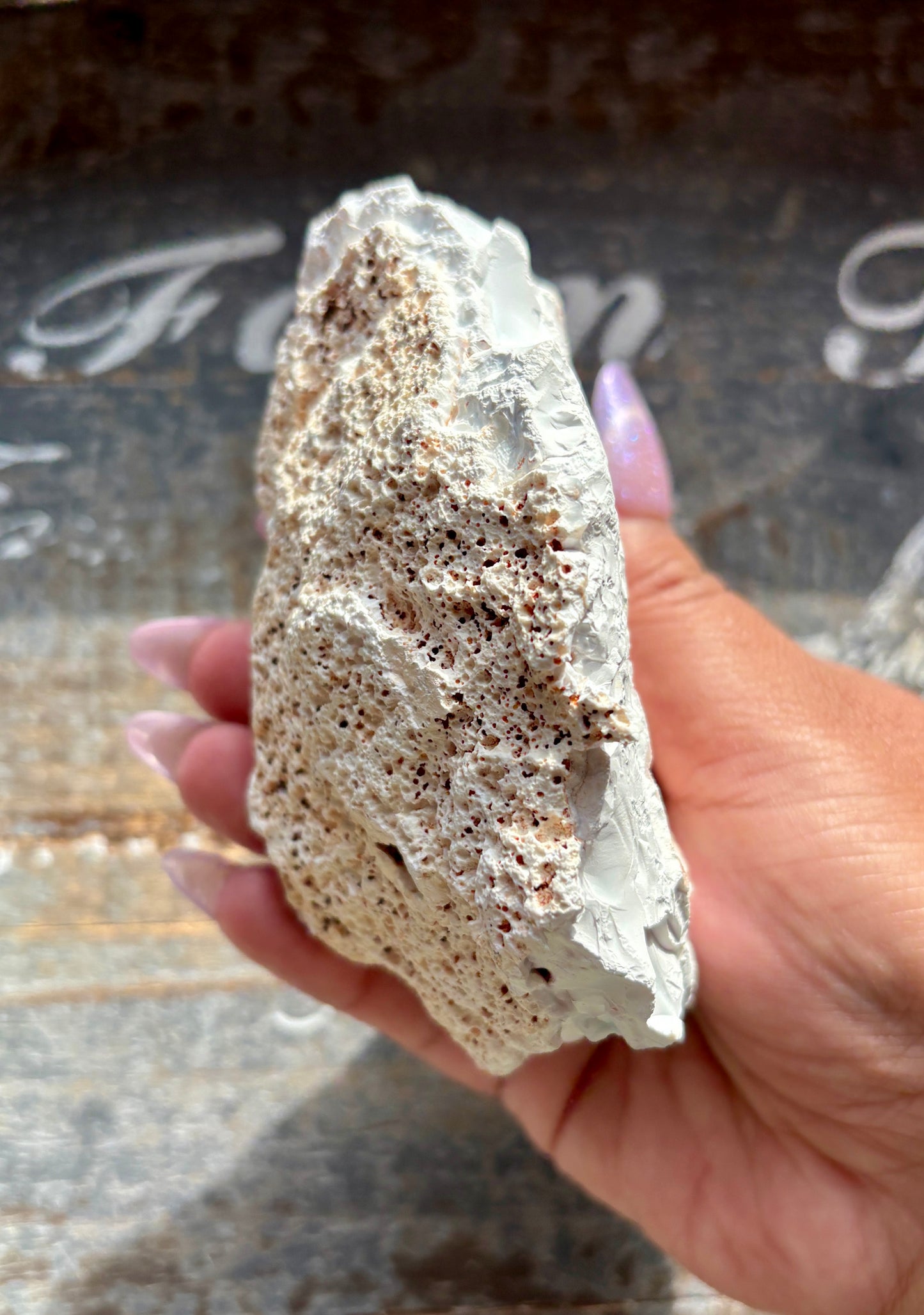 Gorgeous Orca White Agate Geode