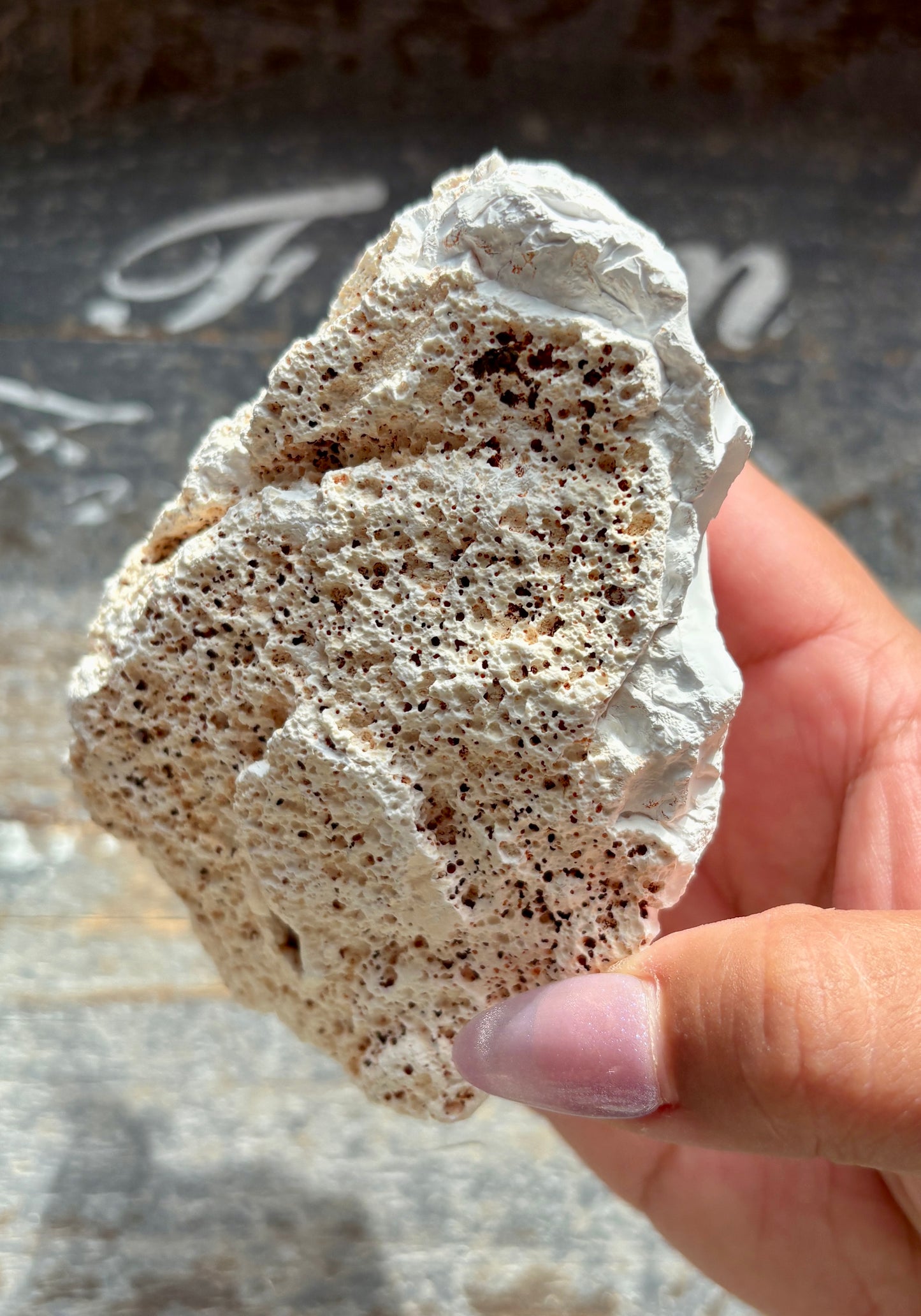 Gorgeous Orca White Agate Geode