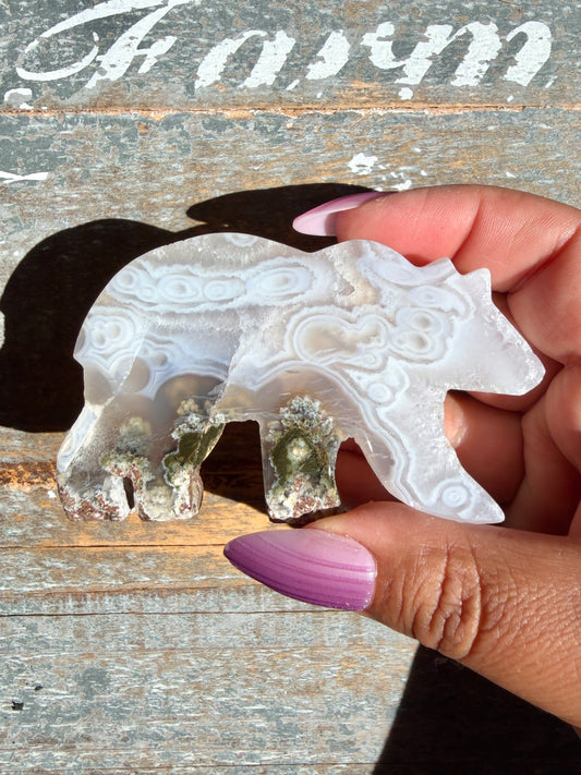 Gorgeous Indonesian Scenic Moss Agate BEAR Carving | Opt 15