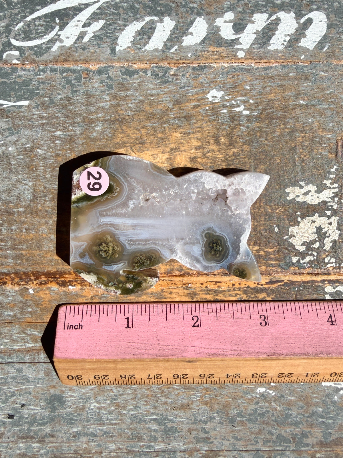 Gorgeous Indonesian Scenic Moss Agate CAT Carving | Opt 29