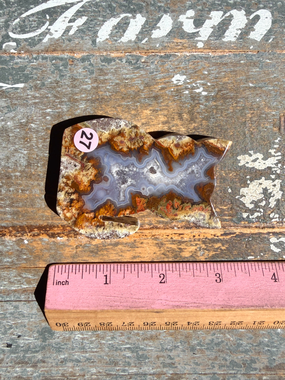 Gorgeous Indonesian Scenic Moss Agate CAT Carving | Opt 27