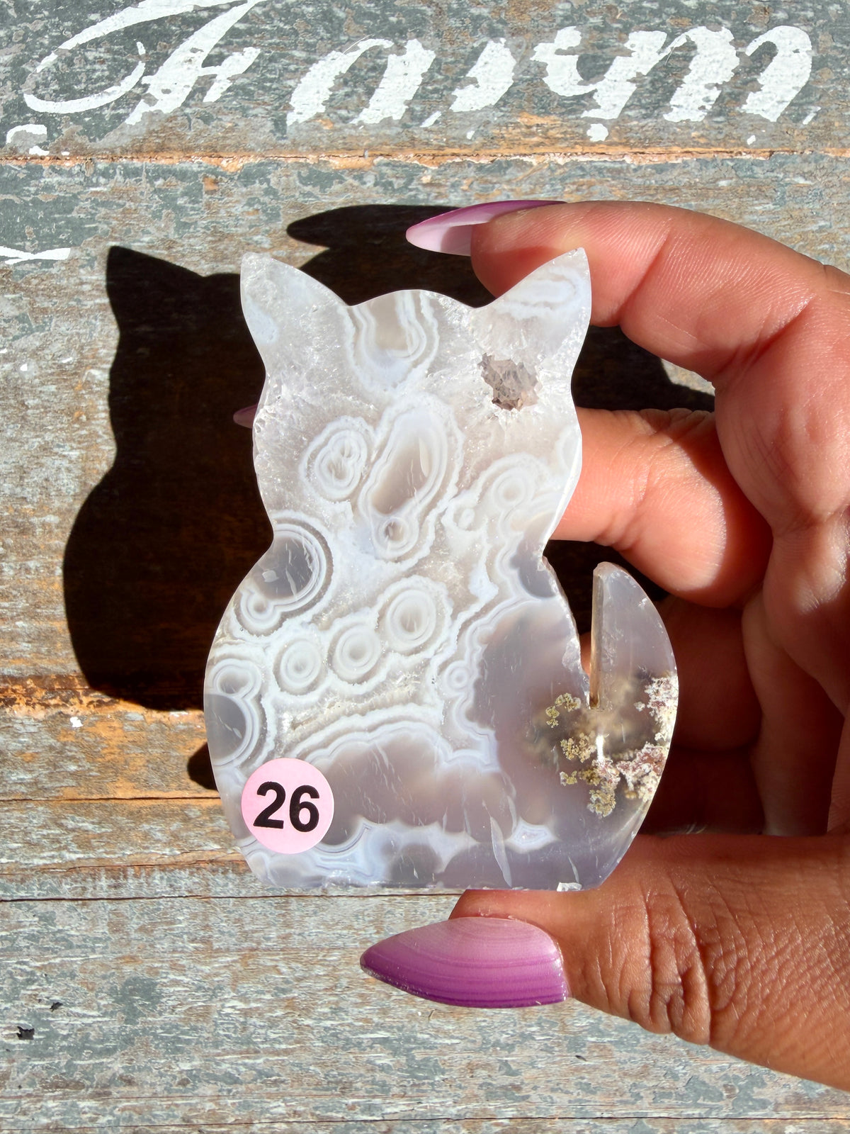 Gorgeous Indonesian Scenic Moss Agate CAT Carving | Opt 26
