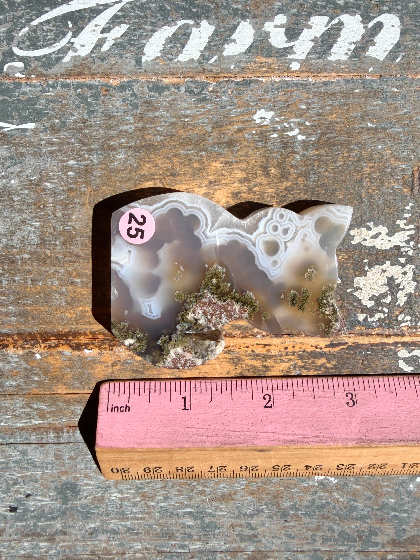 Gorgeous Indonesian Scenic Moss Agate CAT Carving | Opt 25