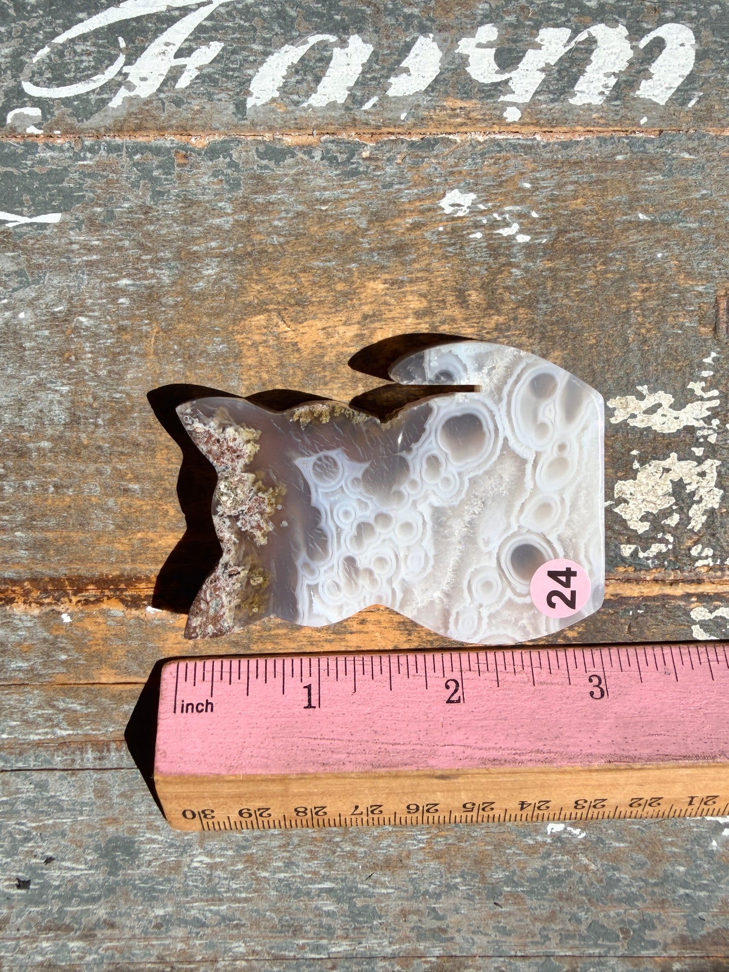 Gorgeous Indonesian Scenic Moss Agate CAT Carving | Opt 24