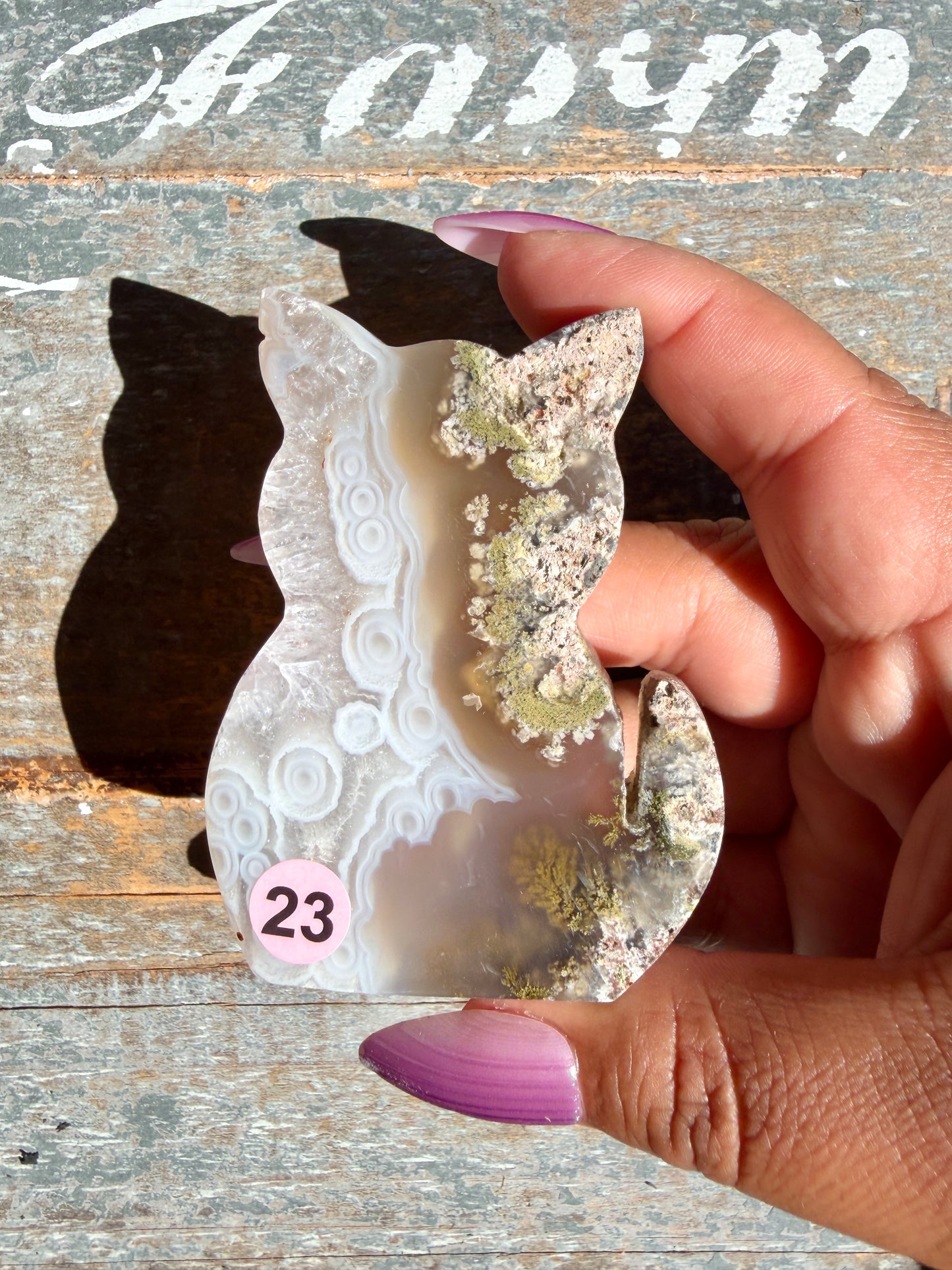 Gorgeous Indonesian Scenic Moss Agate CAT Carving | Opt 23