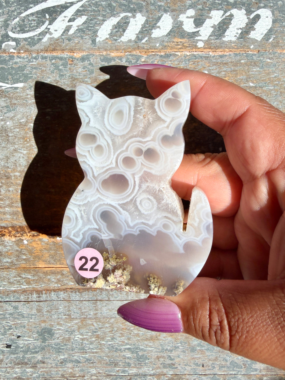 Gorgeous Indonesian Scenic Moss Agate CAT Carving | Opt 22