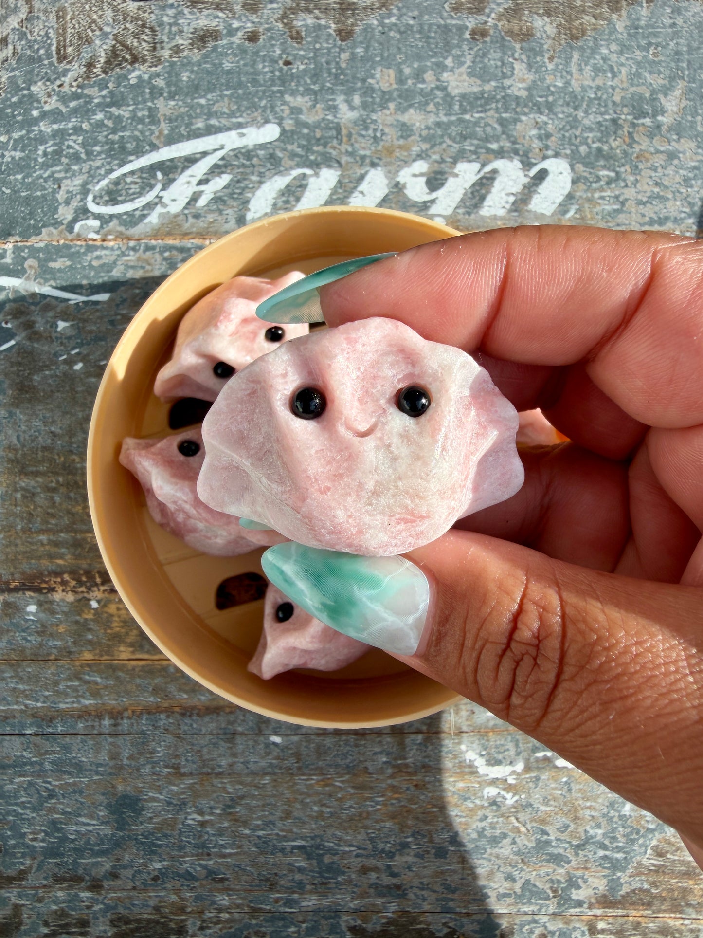 Adorable Pink Opal Gyoza Set (soup dumpling) | Set B