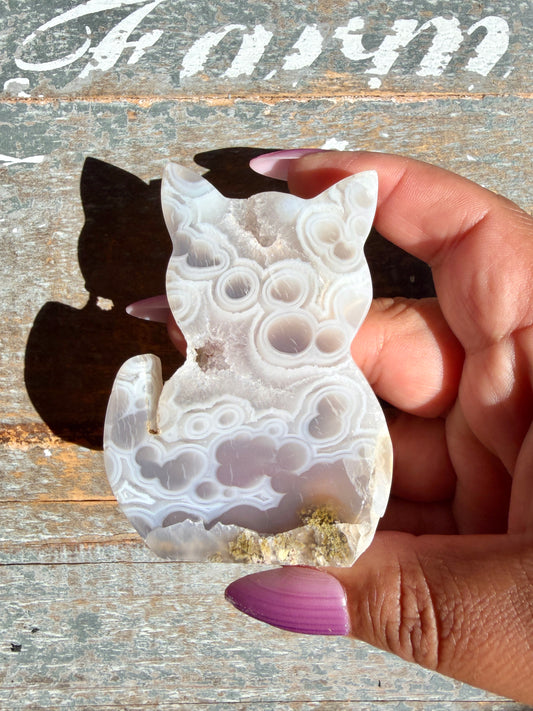 Gorgeous Indonesian Scenic Moss Agate CAT Carving | Opt 22