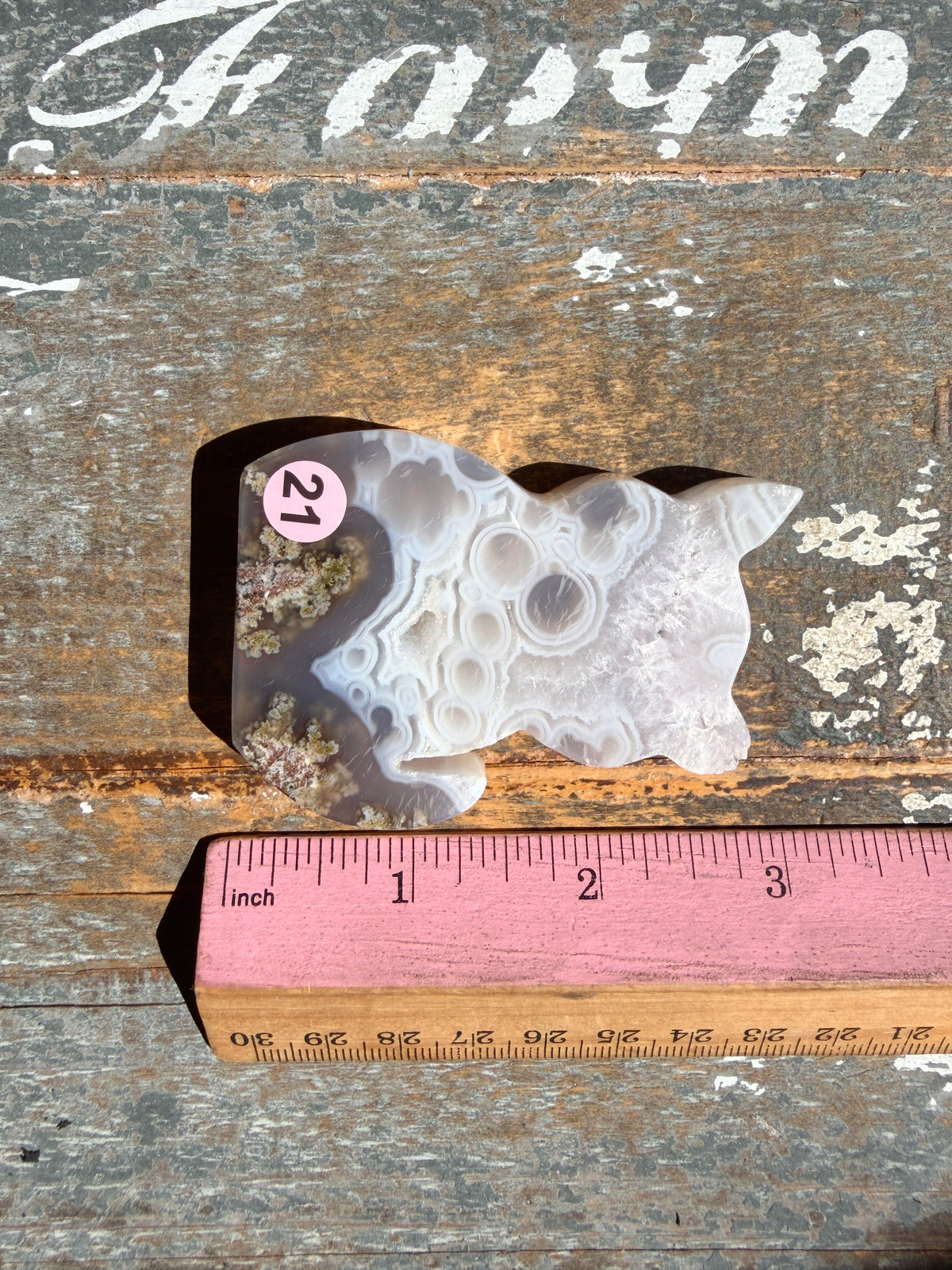 Gorgeous Indonesian Scenic Moss Agate CAT Carving | Opt 21