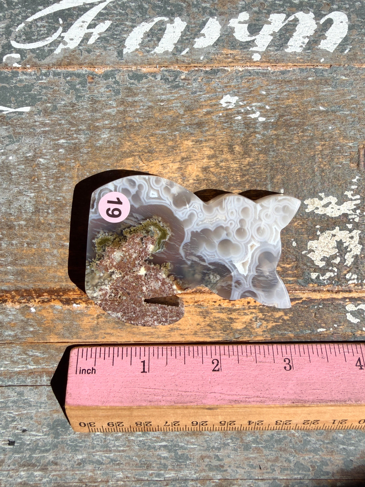 Gorgeous Indonesian Scenic Moss Agate CAT Carving | Opt 19