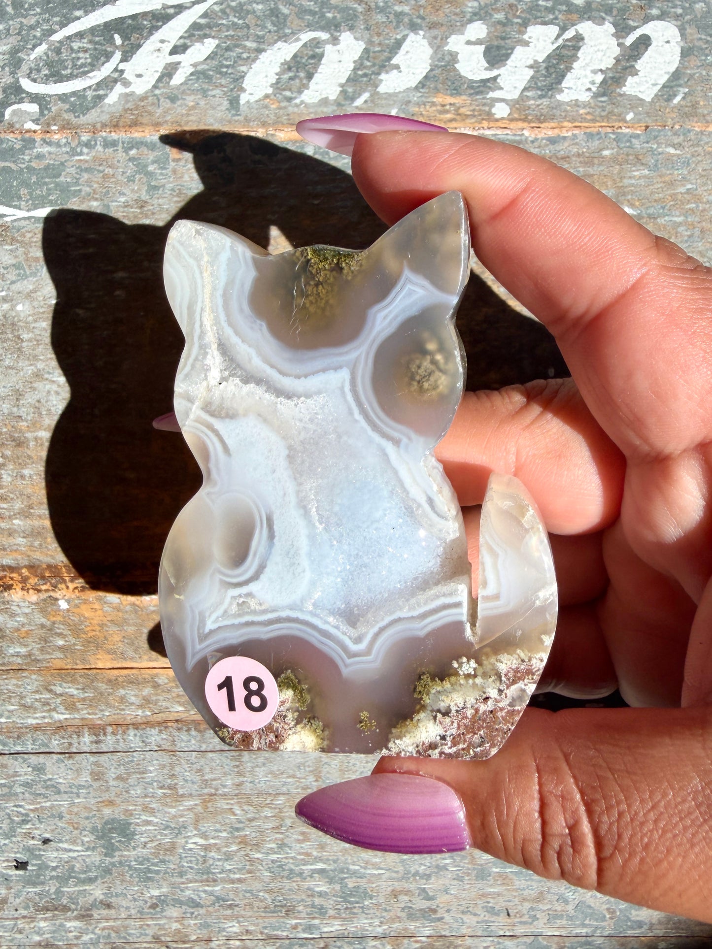 Gorgeous Indonesian Scenic Moss Agate CAT Carving | Opt 18