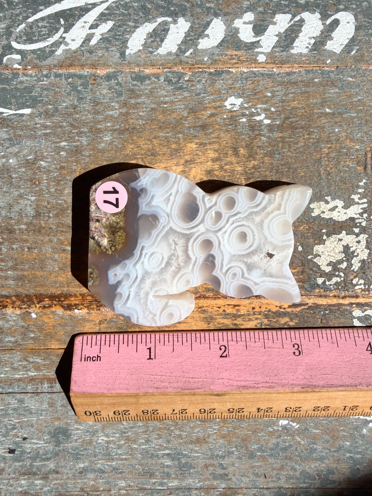 Gorgeous Indonesian Scenic Moss Agate CAT Carving | Opt 17