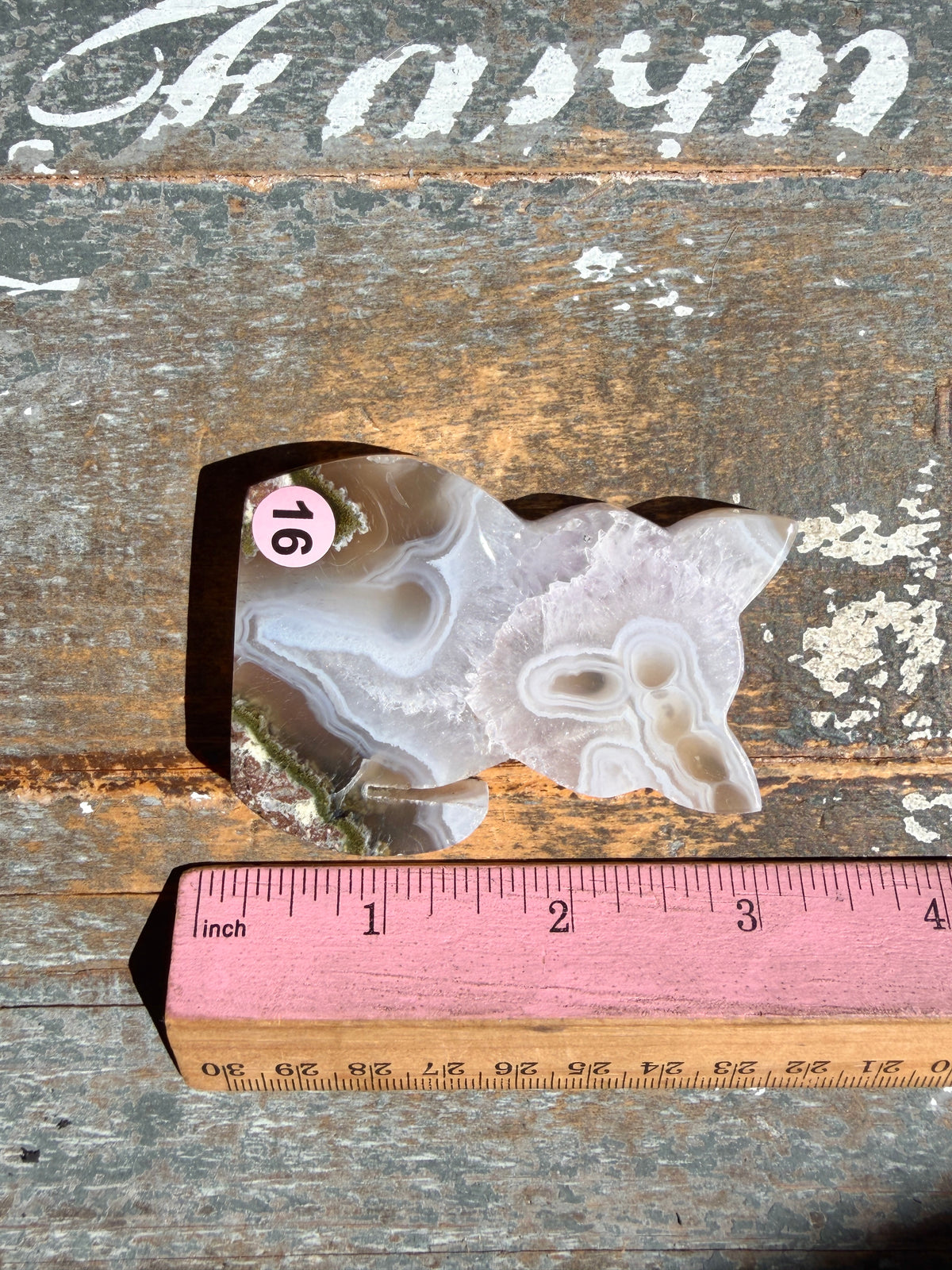 Gorgeous Indonesian Scenic Moss Agate CAT Carving | Opt 16