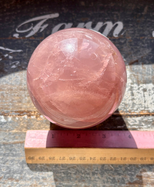 Gorgeous High Grade Juicy Dark Rose Quartz XL Sphere with Star Flash from Madagascar