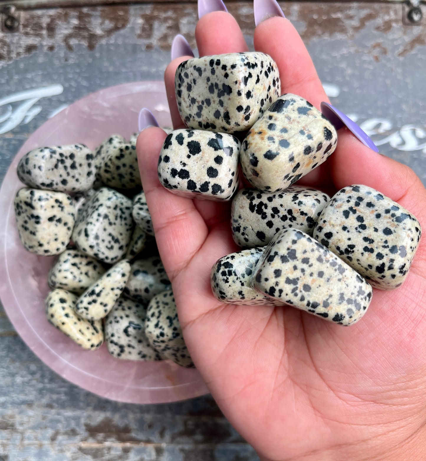 One (1) Gorgeous Dalmation Jasper Tumble