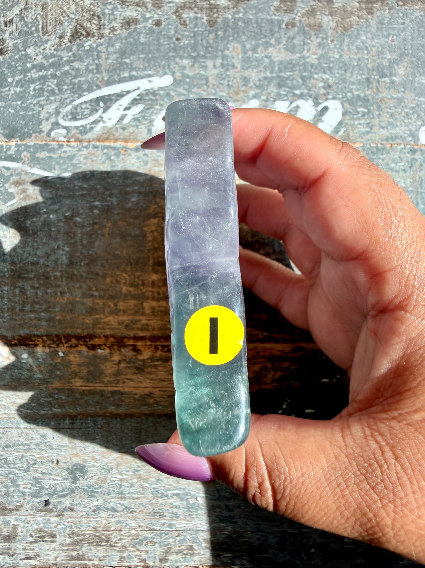 Adorable Rainbow Fluorite Fish | Opt I