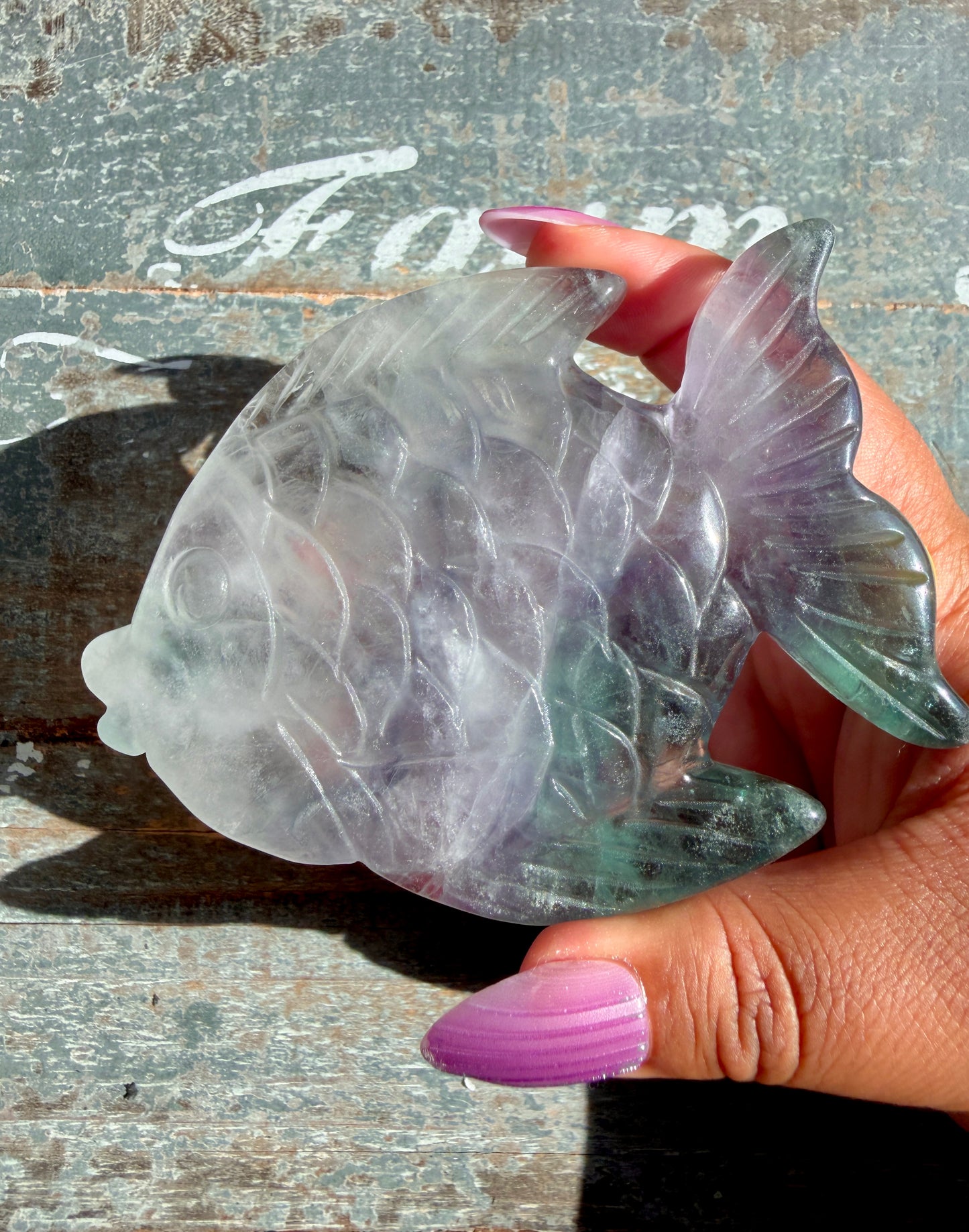 Adorable Rainbow Fluorite Fish | Opt I