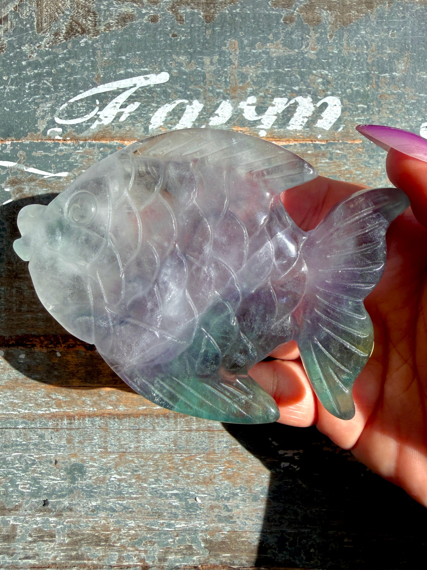 Adorable Rainbow Fluorite Fish | Opt I