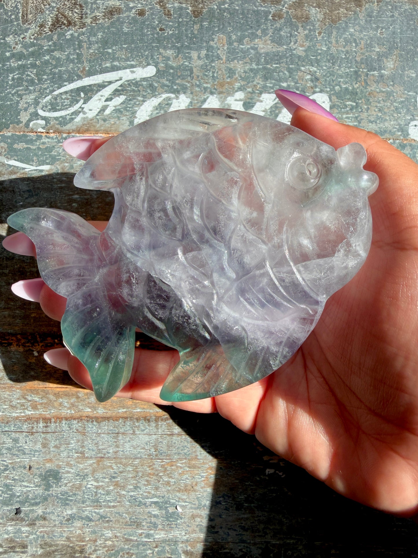 Adorable Rainbow Fluorite Fish | Opt I