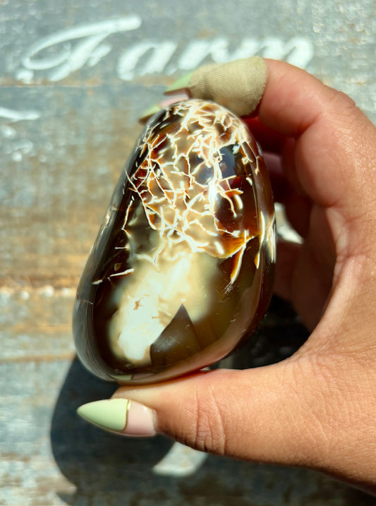 Gorgeous Orca Agate/Carnelian Pebble from Madagascar | Opt P