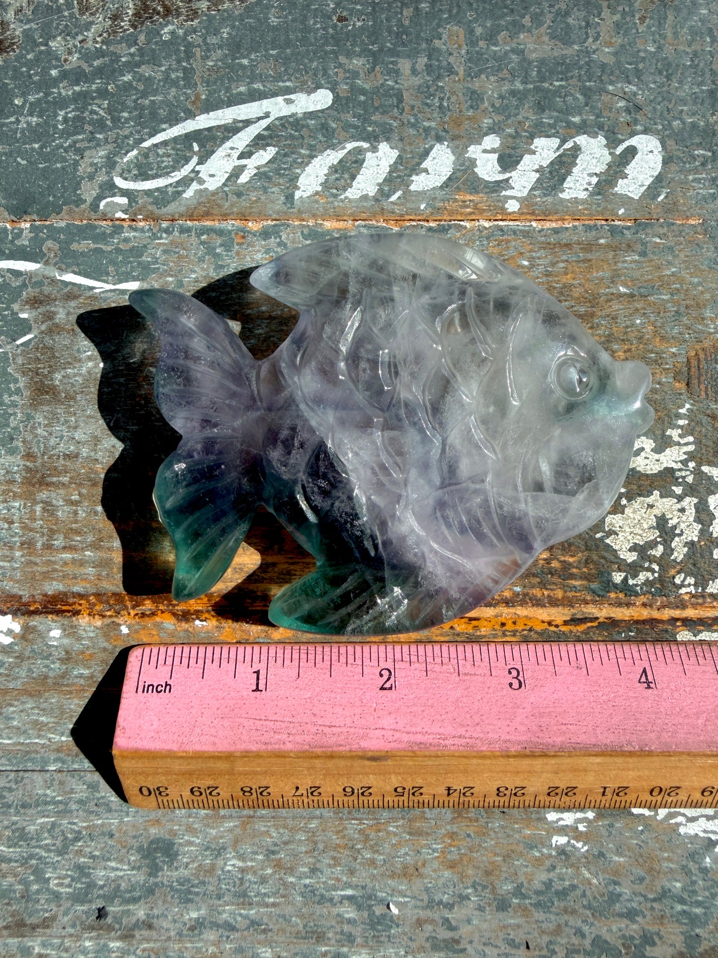 Adorable Rainbow Fluorite Fish | Opt I