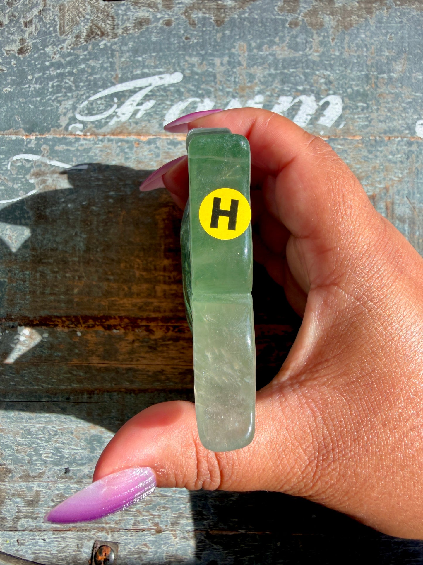 Adorable Rainbow Fluorite Fish | Opt H