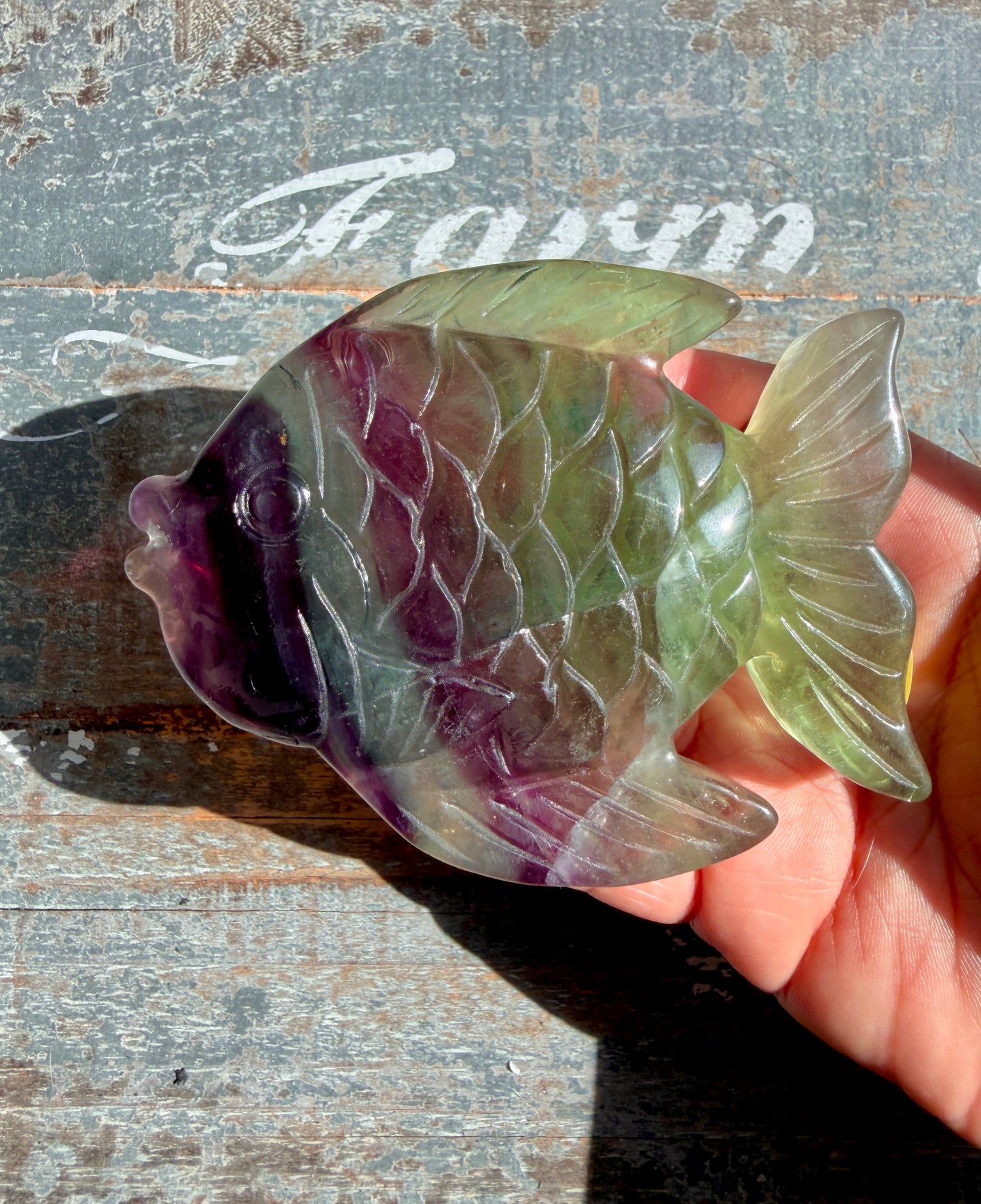 Adorable Rainbow Fluorite Fish | Opt H