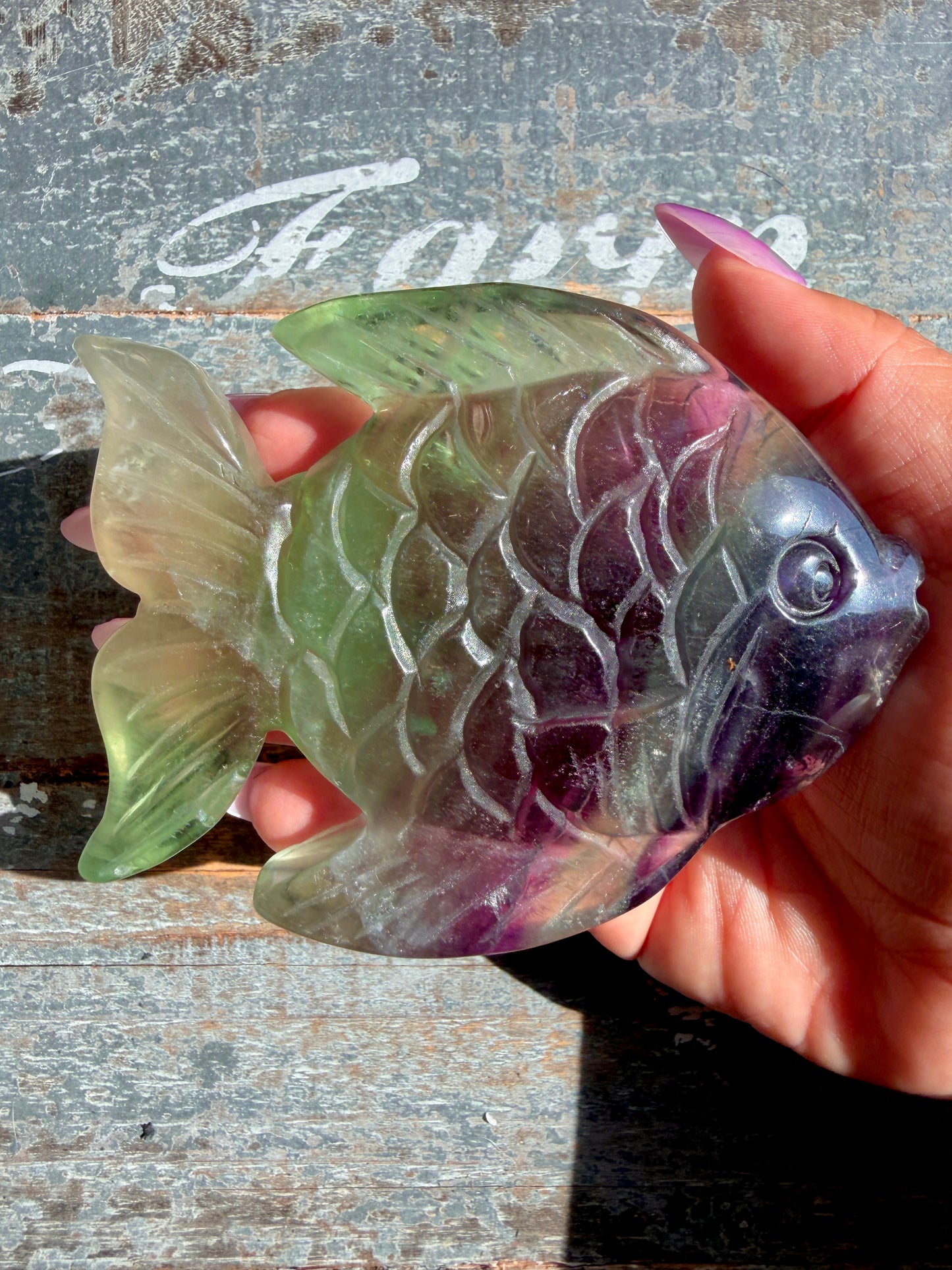 Adorable Rainbow Fluorite Fish | Opt H