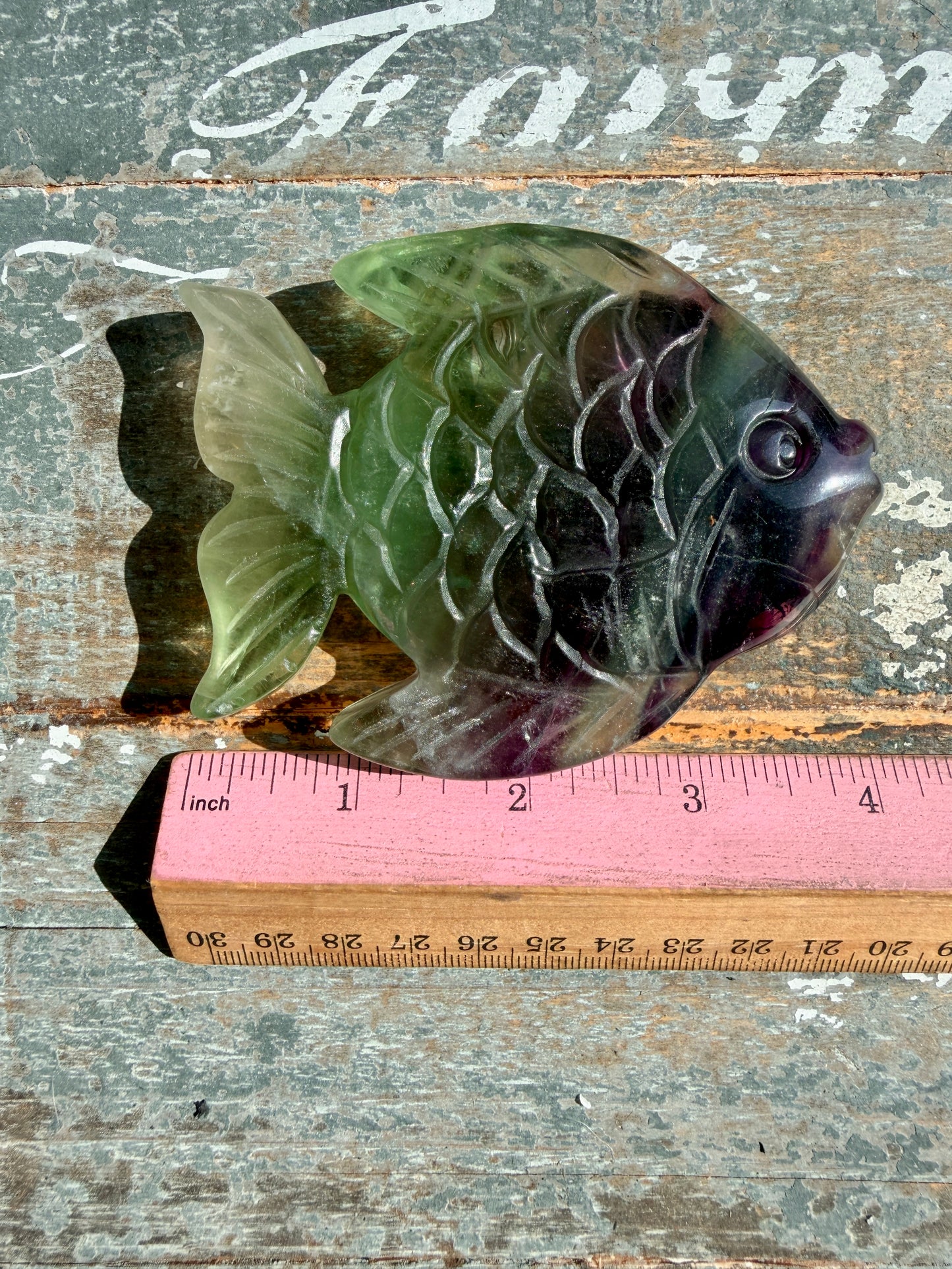 Adorable Rainbow Fluorite Fish | Opt H