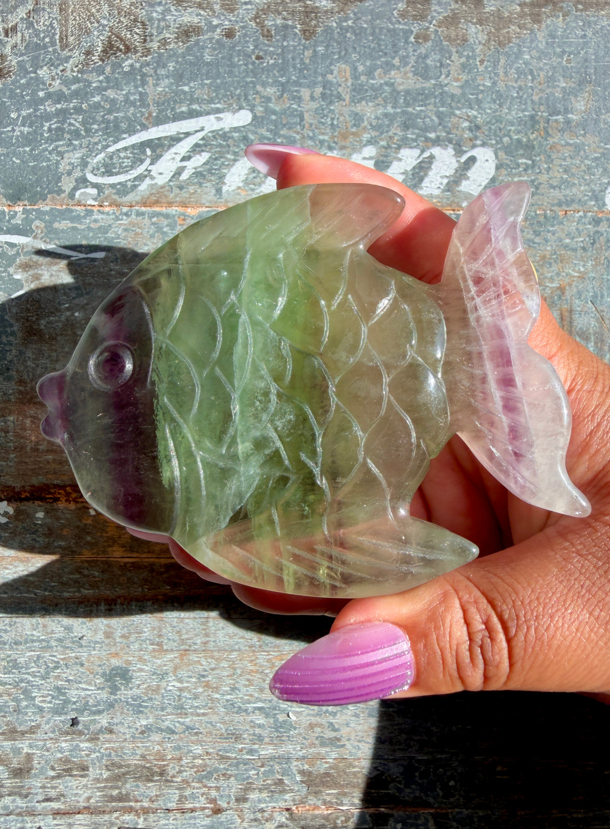 Adorable Rainbow Fluorite Fish | Opt K