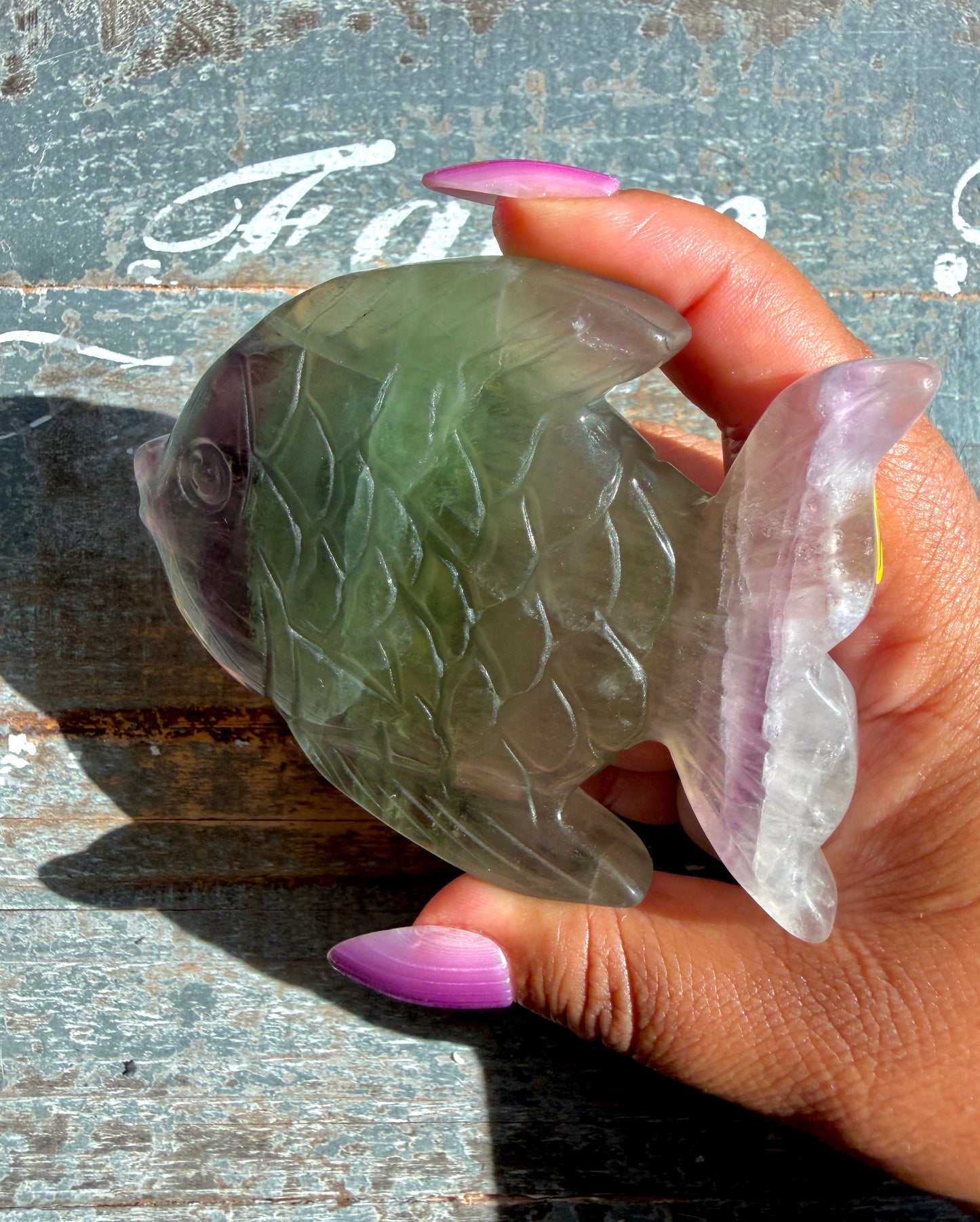 Adorable Rainbow Fluorite Fish | Opt K
