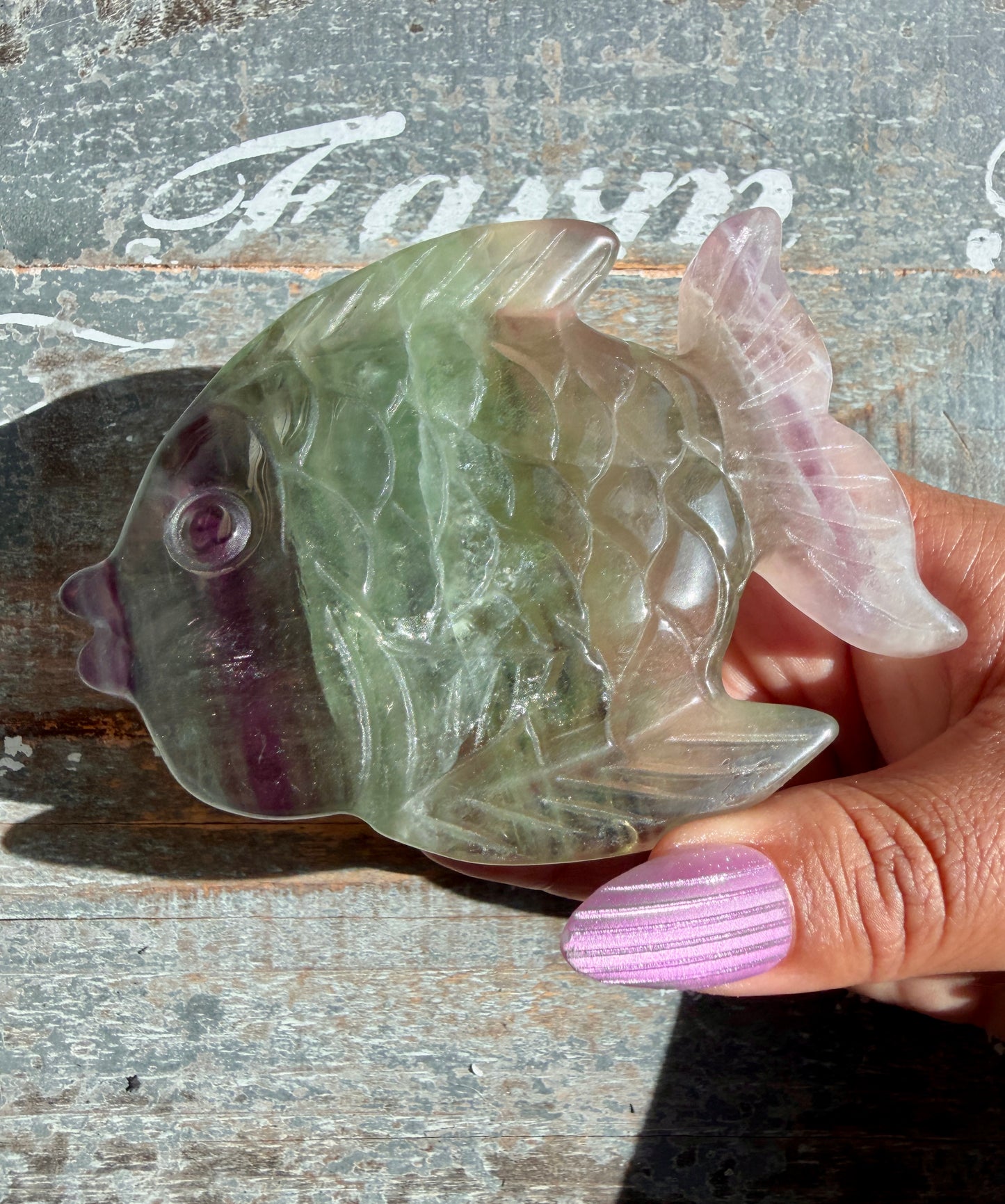 Adorable Rainbow Fluorite Fish | Opt K