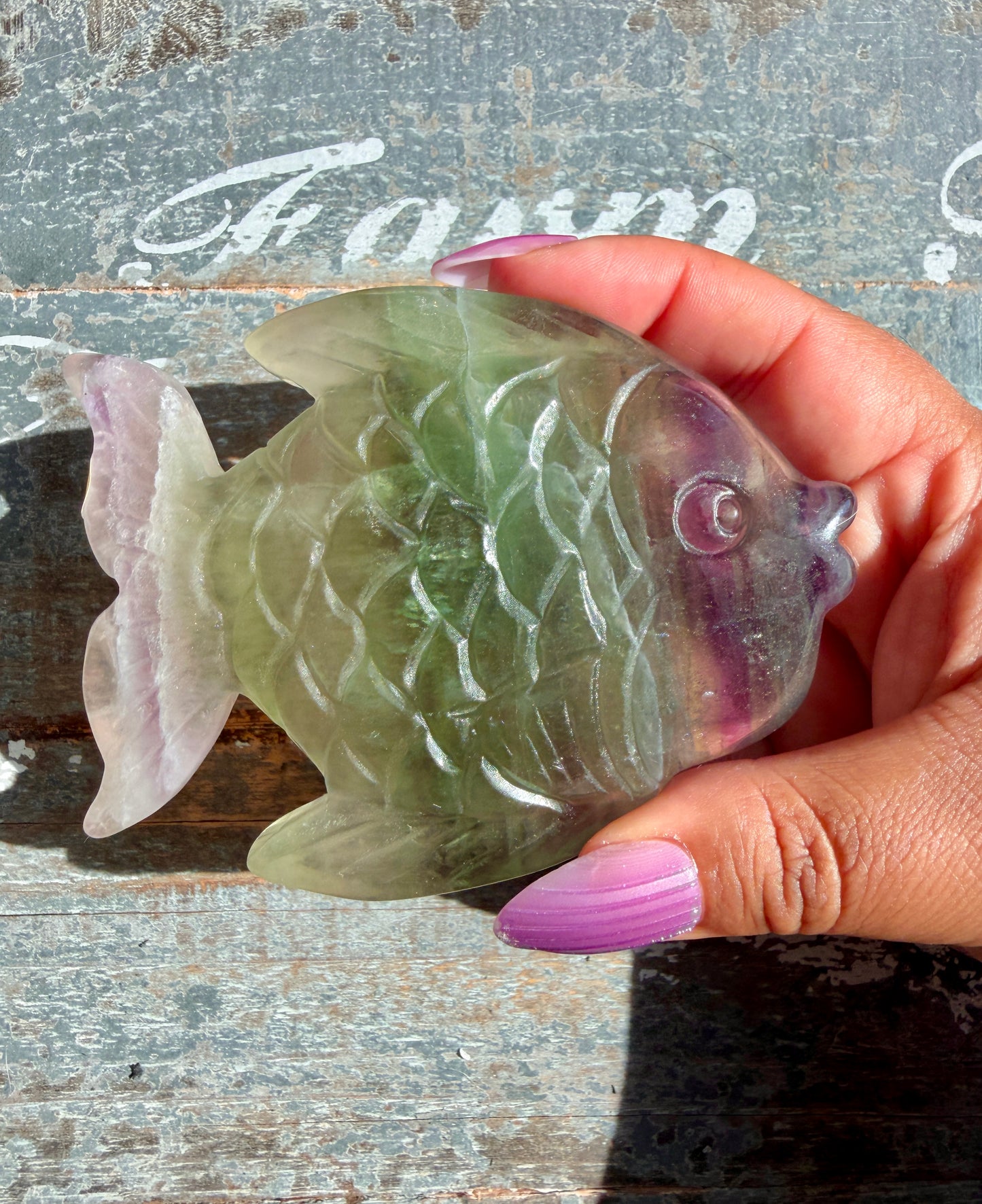 Adorable Rainbow Fluorite Fish | Opt K